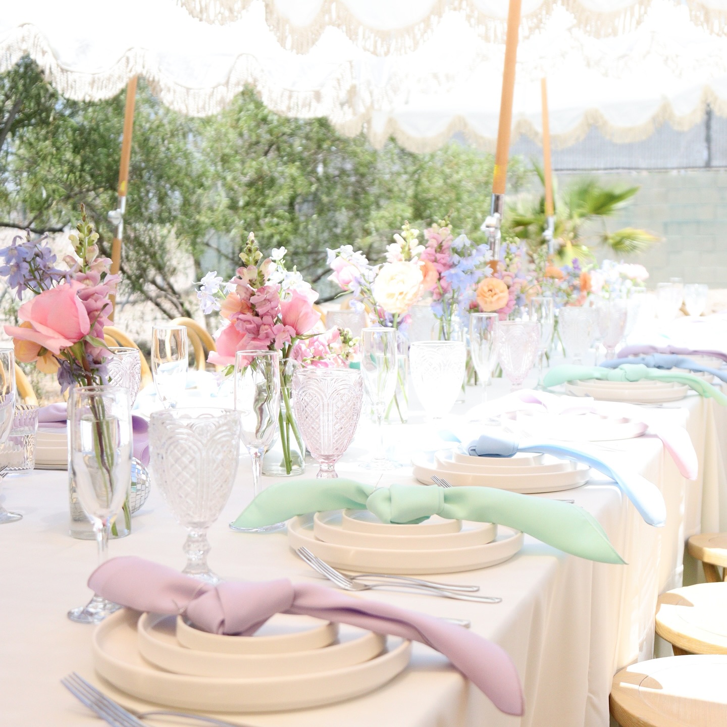 All the summer colors😍
Reception styling @_styleddreams
Floral @sagehavenfloralco
Venue @lacylanelasvegas
Rentals @rsvppartyrentals
#summerwedding #summer #summercolors #summertime #weddingdecor #weddingreception #outdoorwedding #summerweddinginspo #fyp #explorepage