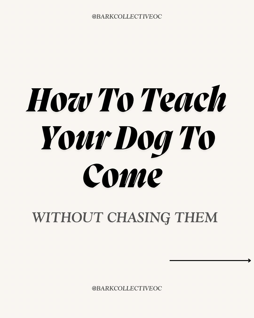 Your dog isn’t ignoring you—they just haven’t been taught what “Come” really means.
A solid recall isn’t built in a panic. It’s built in quiet reps, clear reinforcement, and consistency. At Bark Collective, we use behavior science to teach dogs how to come the first time, without chasing, yelling, or bribing.
Swipe through to learn our step-by-step method.
Want help making it stick? We train dogs that listen.
#DogTrainingTips #BalancedTraining #RecallTraining #ComeCommand #OCdogs #CostaMesaDogs #DogBehaviorist #BoardAndTrain #ReliableRecall #PuppyTraining #DogTrainersOfInstagram #DogObedienceTraining #BarkCollectiveOC #DogMom #DogDad #LongLineTraining
