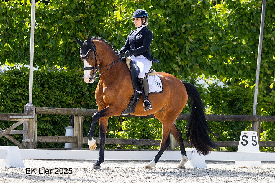 BELGIUM DRESSAGE EVENTS 2025🇧🇪
Noa kon het weekend afsluiten met een mooie proef en een 8ste plaats in de kleine finale.
Ella-June nam deel aan het BK pony’s en kon maar liefst de top 5 binnen rijden in een sterk deelnemersveld met haar pony Der Kleine Prinz. Op zo een korte tijd heb je zeer grote stappen gezet! 🏅
Eline nam deel aan het BK Juniors en kon de eerste twee dagen zeer mooie proeven rijden met Diamina La Crus en ze nam ook een lintje mee naar huis. Daarnaast bracht ze haar nieuwe 6-jarige topper mee en liet hem al eens proeven van het wedstrijd rijden. 🏅
Bij de VOR kwam onze jongste garde ook aan de slag.
Emma-Lou nam maar liefst 3 bekers 🏆🥇 mee naar huis. Wat een topprestatie van Emma-Lou en haar prachtige pony Black Pearl.
Jools kon haar beste proef ooit neer zetten en nam de zilveren mediale mee naar huis🥈 Wat zijn we fier op jou doorzettingsvermogen.
Syra reed 4 zeer mooie proeven en kon een 🥇& 🥈de plaats mee naar huis nemen. Ook jij mag fier zijn op de stappen die je gezet hebt de afgelopen weken.
Tot slot reed Frauke nog twee mooie proeven in niveau 3 met Lieke SA. Je mag terecht fier zijn op jou vooruitgang. De nieuwe oefeningen zijn niet altijd gemakkelijk maar door jou doorzettingsvermogen komt dit helemaal goed.