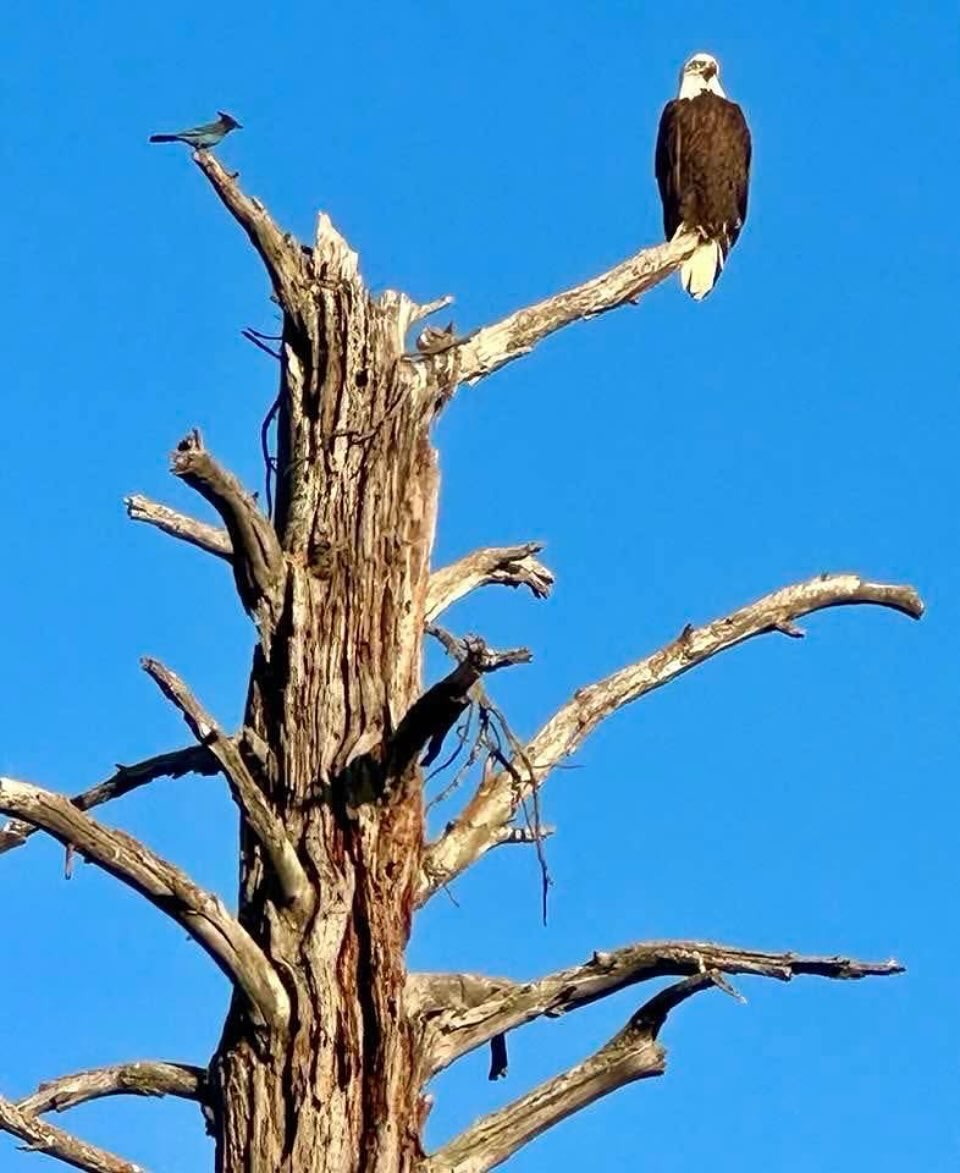 Picture taken at Lake Odell by one of our residents! Wow!