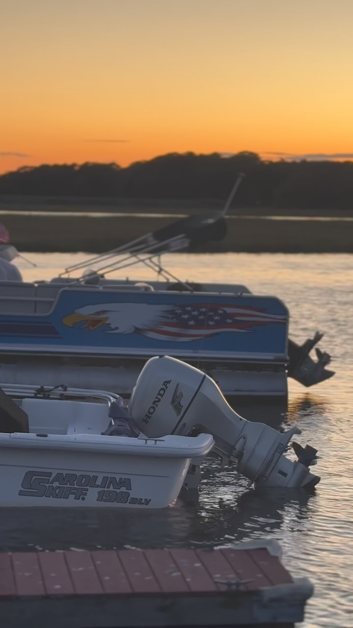 🦅🇺🇸🦆🐥🌅