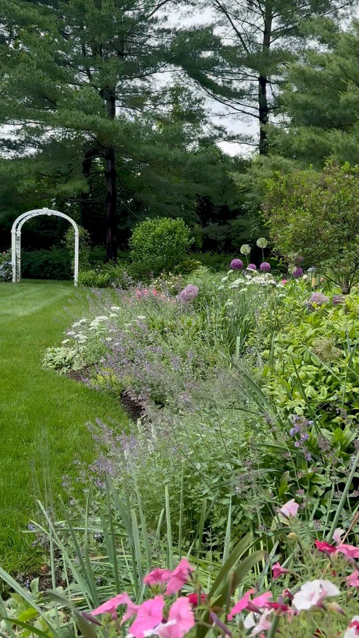 What a difference a month makes. Watch this spot transform from late April to late May.
-Cape Cottage Garden, Zone 7a, New Jersey, USA.
#Finegardening,#perennialgardens #countrygardens #gardengatemagazine #thecottagejournal #unbelievablegardens #homeandgarden #thehappygardeninglife #gardendesign #romanticgardendreams #countrygarden #gardenplanning #gardengreatorsmall #betterhomesandgardens #thegardeningspirit #gardenanswer #njgardening #bhggarden#cottagegardens #flowerlovers #gardensofinstagram