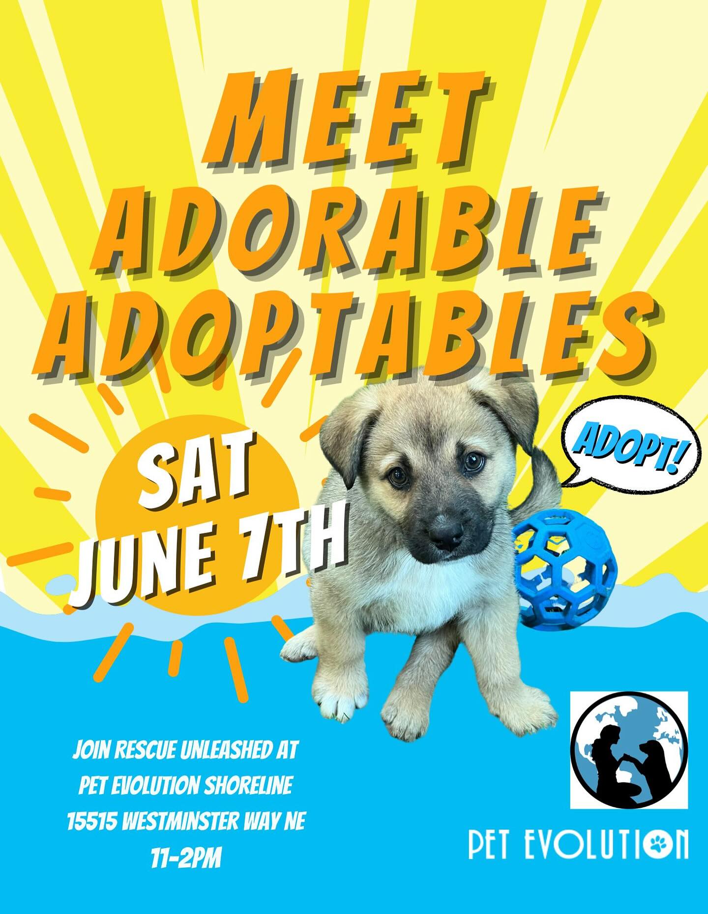 Meet our available ADOPTABLES Saturday, the 7th, 11-2 pm.
@petevolution_shoreline