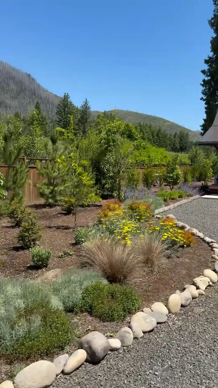 The riverside revival is in full bloom — plants thriving, mulch installed, and nature doing her thing. 🌿 Even after the fire, random flowers and native plants are making a bright comeback. Big thanks to our maintenance crew for keeping it all looking sharp! We love a good comeback story. ✨🌾
#growgrassroots #smallbusiness #supportlocal