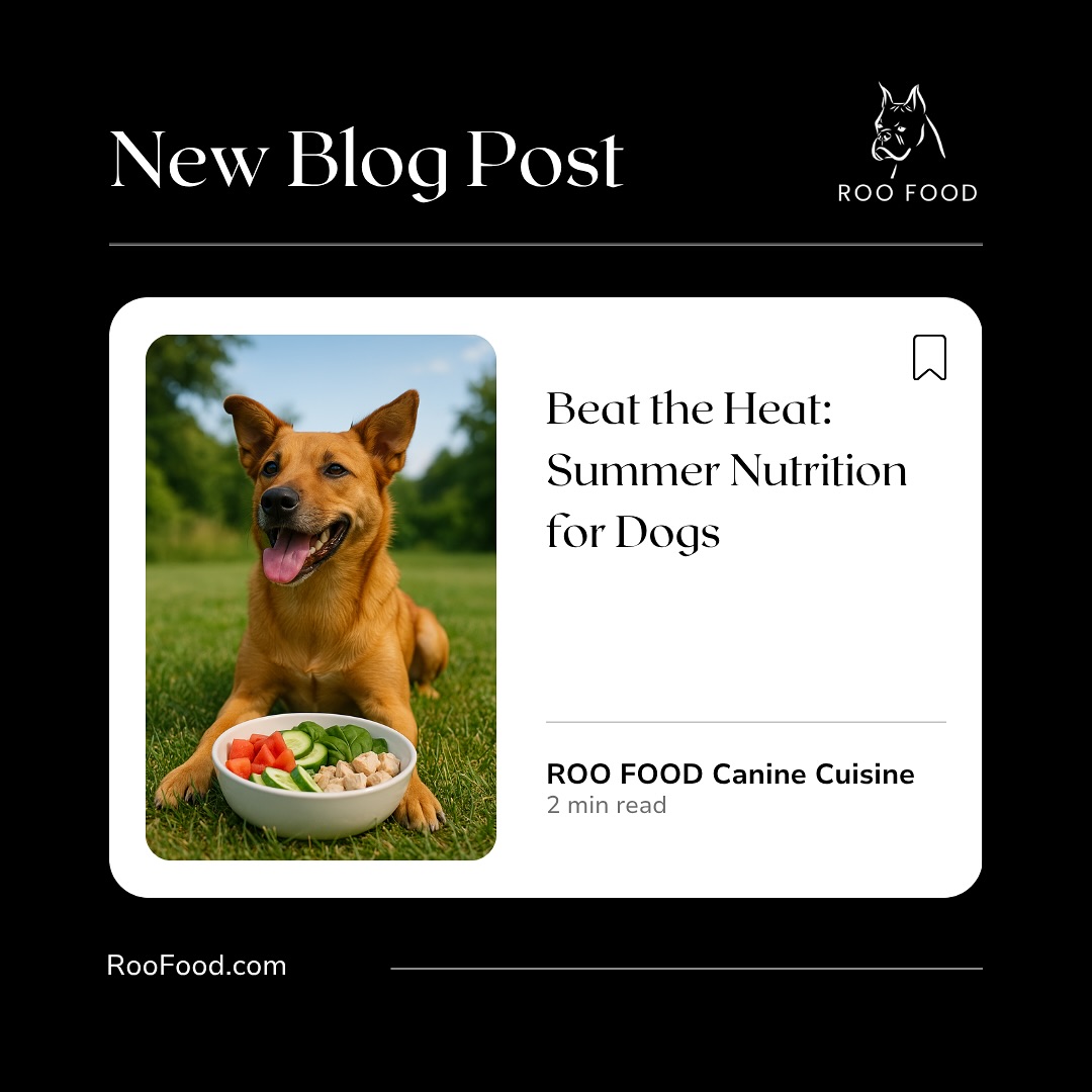 Summer heat can zap your dog’s energy—but the right foods can bring it back. From hydrating veggies to safe seasonal snacks, we’ve got you covered.
☀️ Discover our top summer nutrition tips for dogs—read the blog now.
https://www.roofood.com/post/summer-nutrition-for-dogs
#summernutritionfordogs #roobowls #doghealthtips #cooldogsnacks