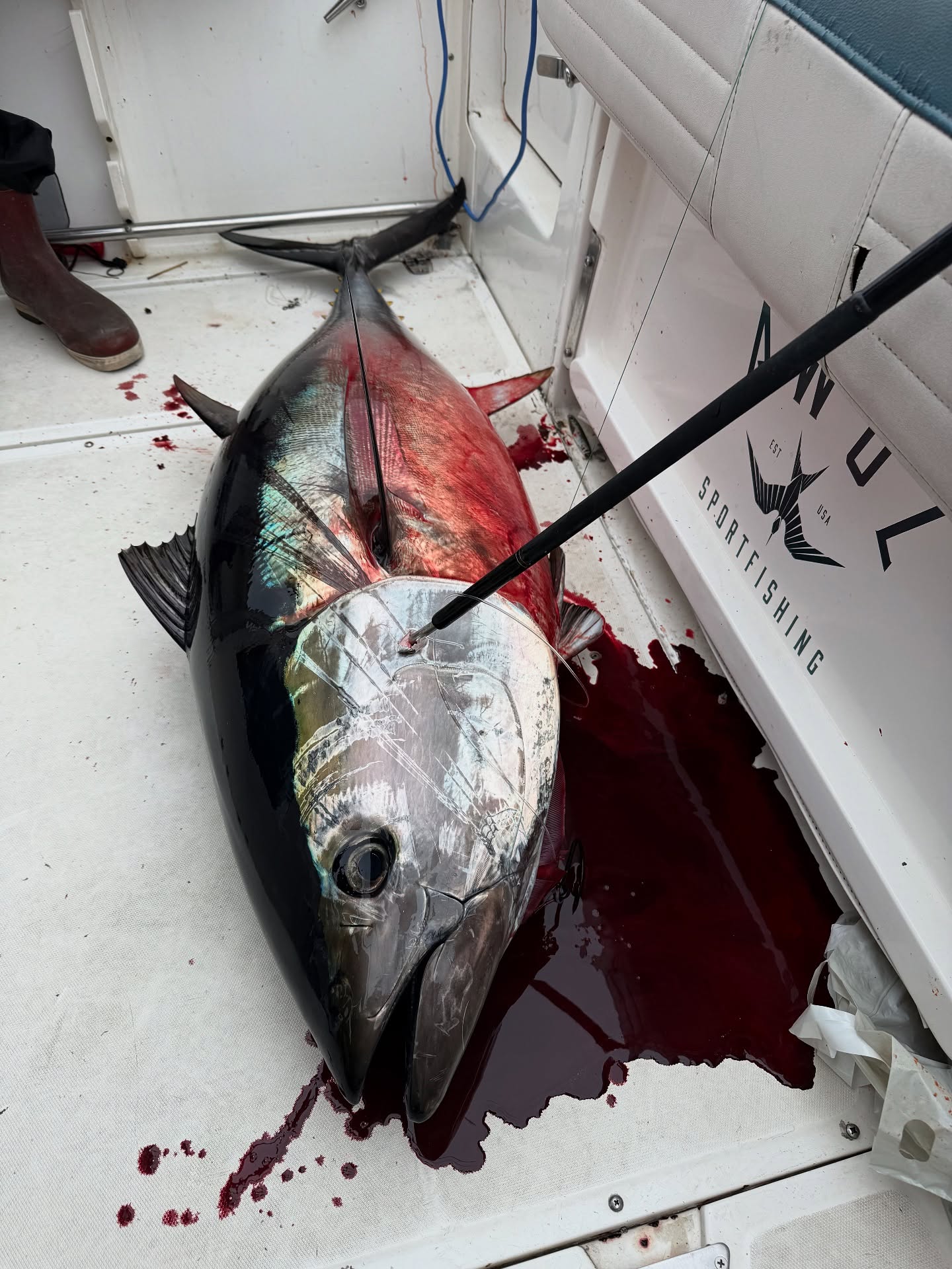 Kept ourselves busy last month. Some selects from some kite fish out west to picking at some locals in the backyard.
The highlight reel doesn’t account for the swings and misses we’ve had, or account for the fuel and hours burned having a staring contest with the Pacific Ocean.
Our constant will always be to work as hard as possible to put folks on fish.
Ready for what this next month will bring. If it’s not snowing, we’re going!
Big thanks to—
@aftco with the software
@daiwausa with the hardware
