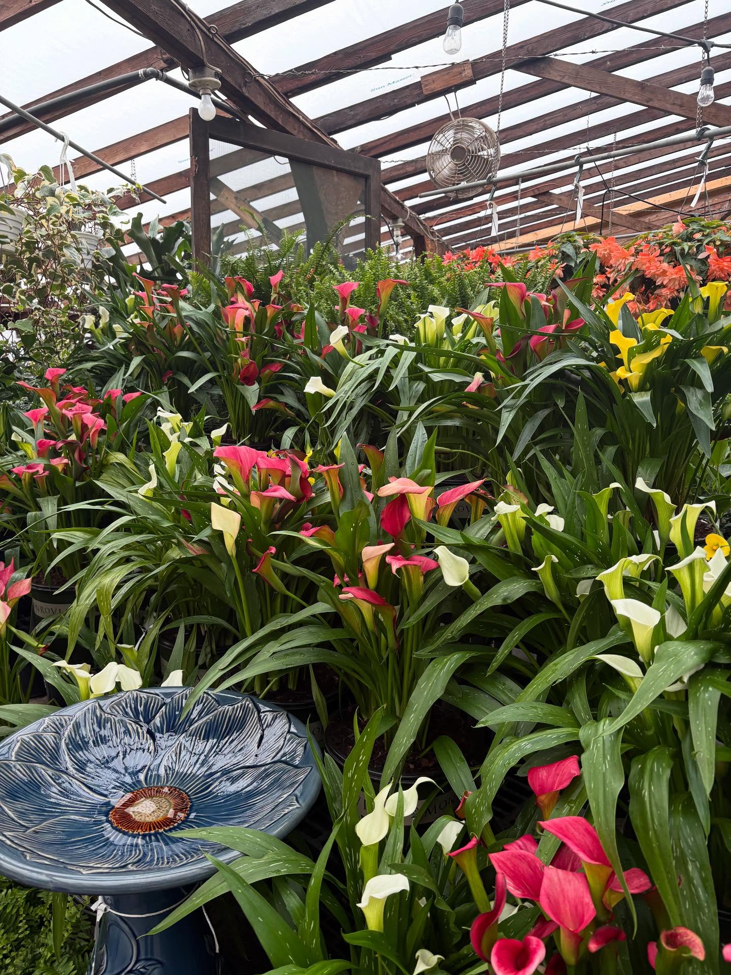 Life recently has been dealing me quite the cards recently but at least I’m still sitting at the table getting dealt cards I guess.