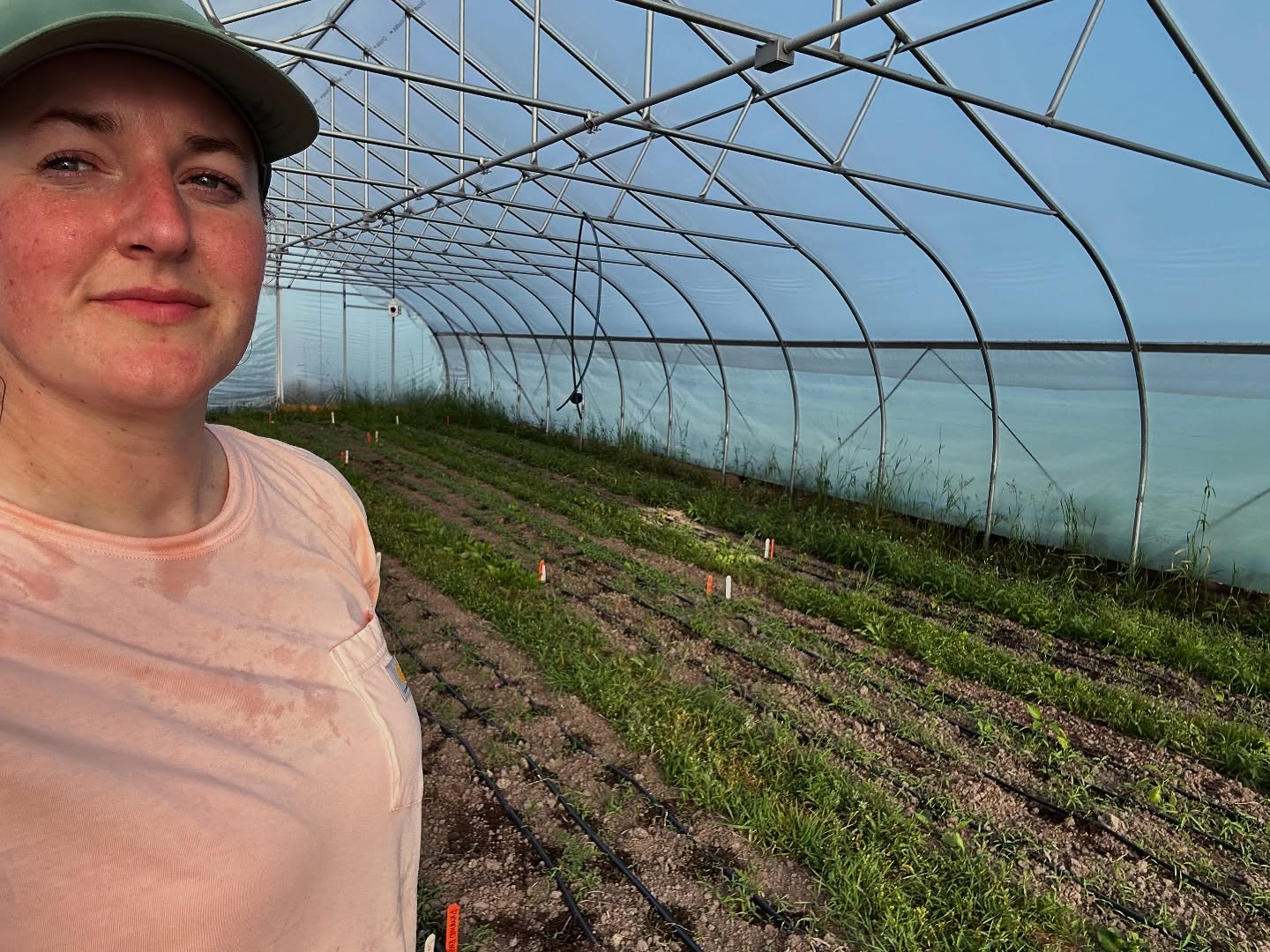 I can’t imagine being further south for this heat. High tunnel weeding sesh — let’s sweat, baby!
#hoophouse #hightunnel #farm #seedkeeping #seedfarm #🥵