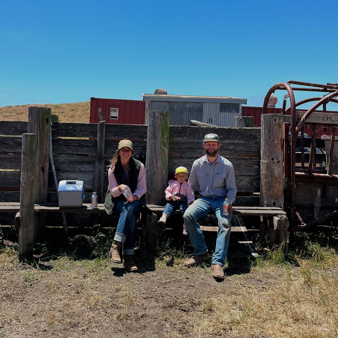 Hi friends! Just a quick update. Weโve been busy shearing, moving animals, and celebrating our daughter turning 2! We wonโt be @ojaicommunityfm until we harvest more lamb and beef for the market. Last call on Spring whole/half lamb boxes and Summer beef shares are going fast! So get yours reserved today. Cheers! ๐๐ฅ๐ฅฉ
๐ www.outlawvalleyranch.com
Thanks for the cute pic @salvia_radecki ๐ฉท