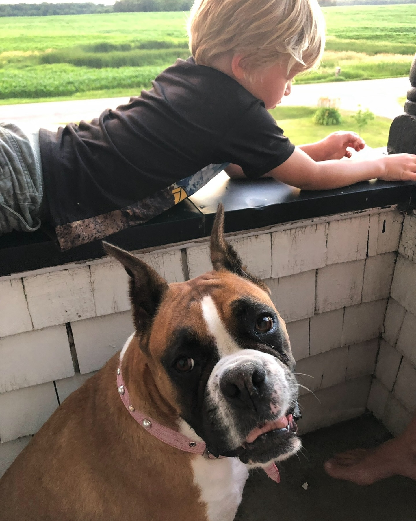 Porch naps and quiet company.
Sometimes the best part of Sunday is doing absolutely nothing—with your best friend by your side.
#SundaySlowdown #PorchVibes #DogAndKidMoments #SimpleSundays #RooMoments