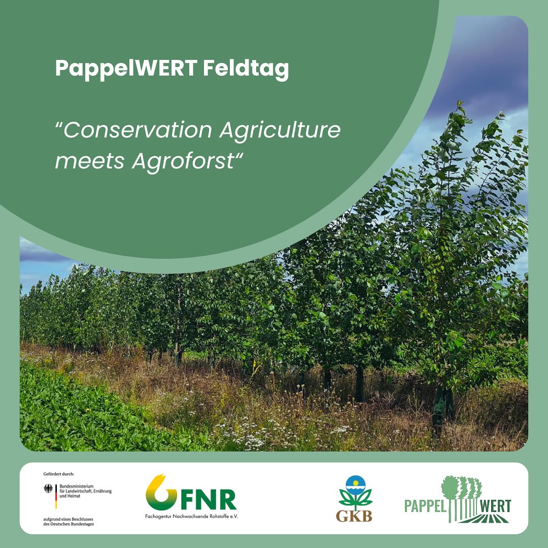 Einladung zum Feldtag: Conservation Agriculture meets Agroforst
Zusammen mit dem @gkb_ev laden wir zu unserem Feldtag nach Brandenburg ein. Zusammen schauen wir uns ein 4-jähriges Agroforst-System an und besuchen verschiedene Direktsaatbestände, inklusive Maschinenvorführung, Praxisaustausch und Imbiss.
🗓️ 13. Juni 2025
⏰ 9 Uhr bis 13 Uhr
📍LWB Mark Dümichen
Lichterfelde 14
14913 Niederer Fläming
➡️ Anmeldung bis zum 9. Juni per Mail an Seminar@gkb-ev.de, Betreff: Feldtag CA/Agroforst
➡️ Weitere Infos zum Programm findet ihr über den Link in unserer Biografie.
