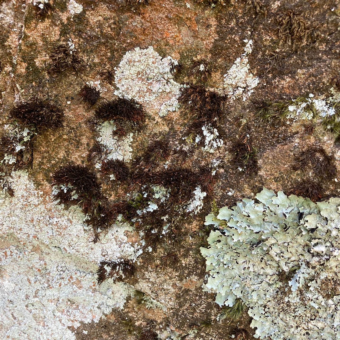 "Die Welt des Weiß ist unermesslich groß. Sie kann einen verrückt machen mit ihren vielen Facetten."
Heute vor drei Jahren habe ich in meinem Blog artanalog diesen Gastbeitrag von Sandra Freygarten veröffentlicht. Lest doch nochmal nach - es lohnt sich!