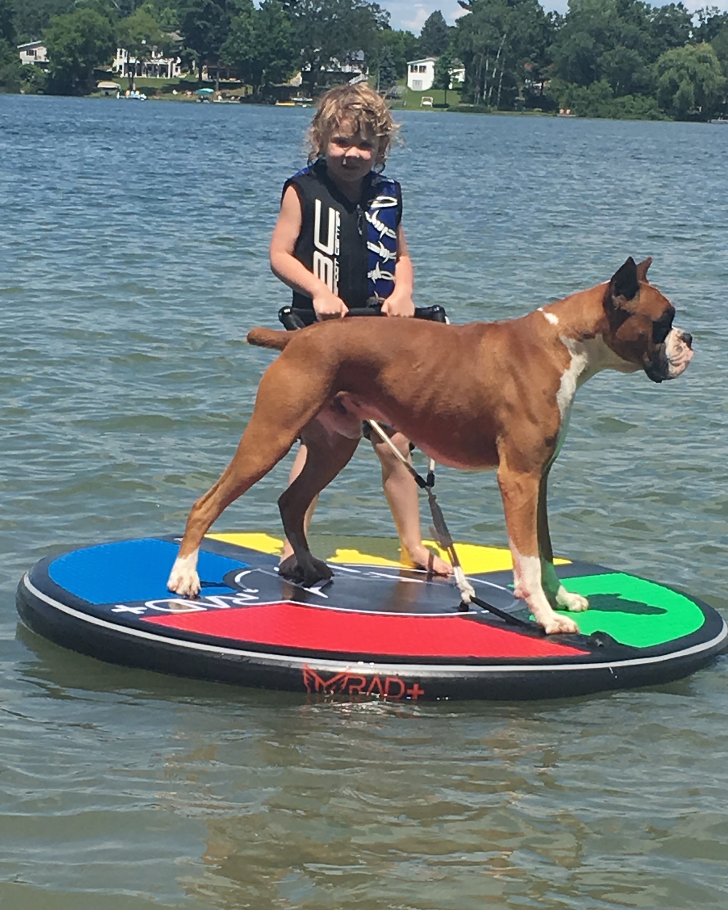 Roo doesn’t know what “wellness” means—
but she knows when her belly feels good, her coat shines, and her energy’s up.
That’s real wellness. That’s real food.
What does a good day look like for your dog?
#RooInRealLife #DogWellness #DogJoyMoments