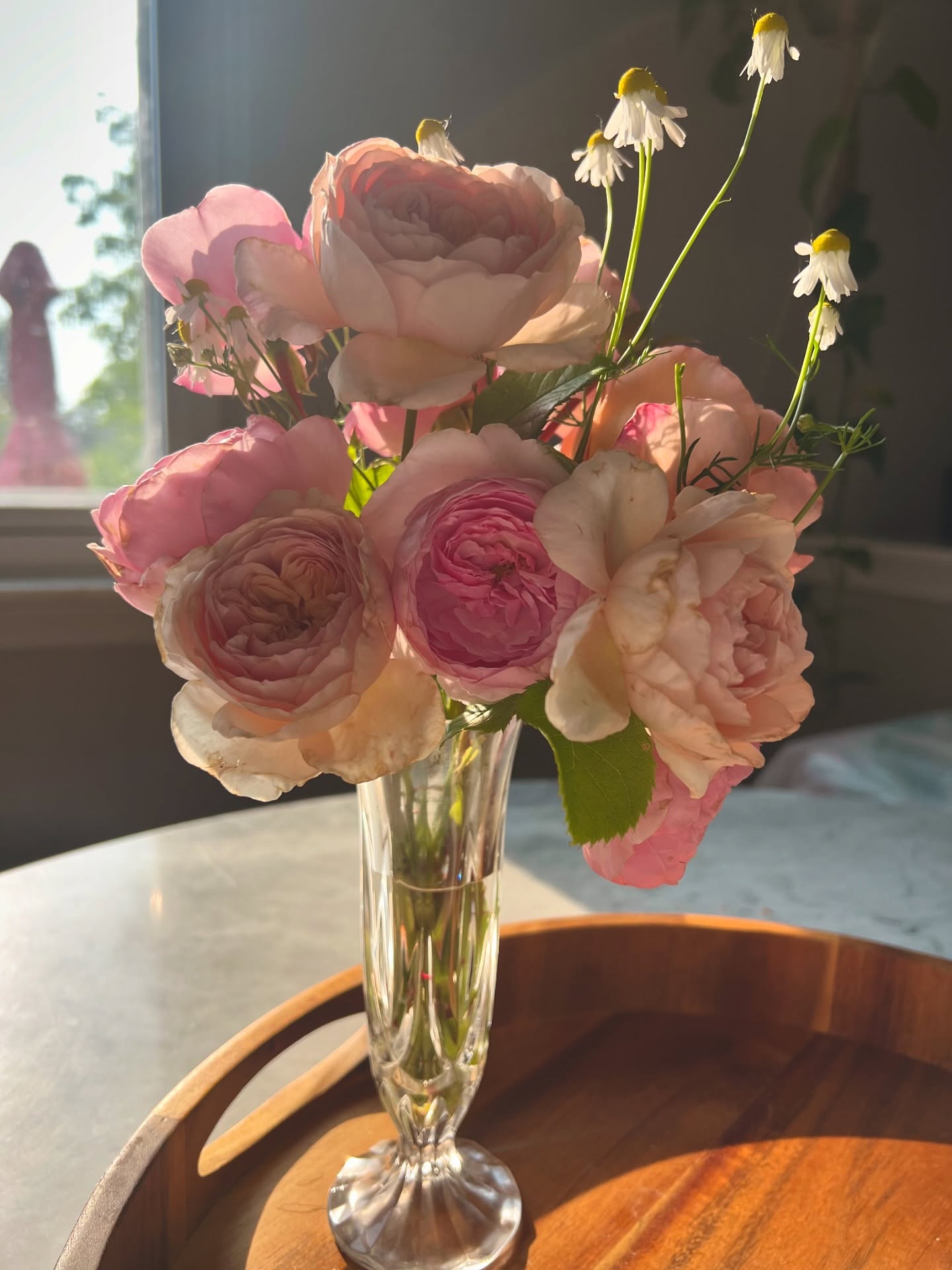 #ayearinflowers The Garden roses are on fire 🔥 this season. Finally after about 3 years of waiting I have TONS of blooms. I cut this small bouquet last night. Stay tuned for more rose beauty! #natureandblooms