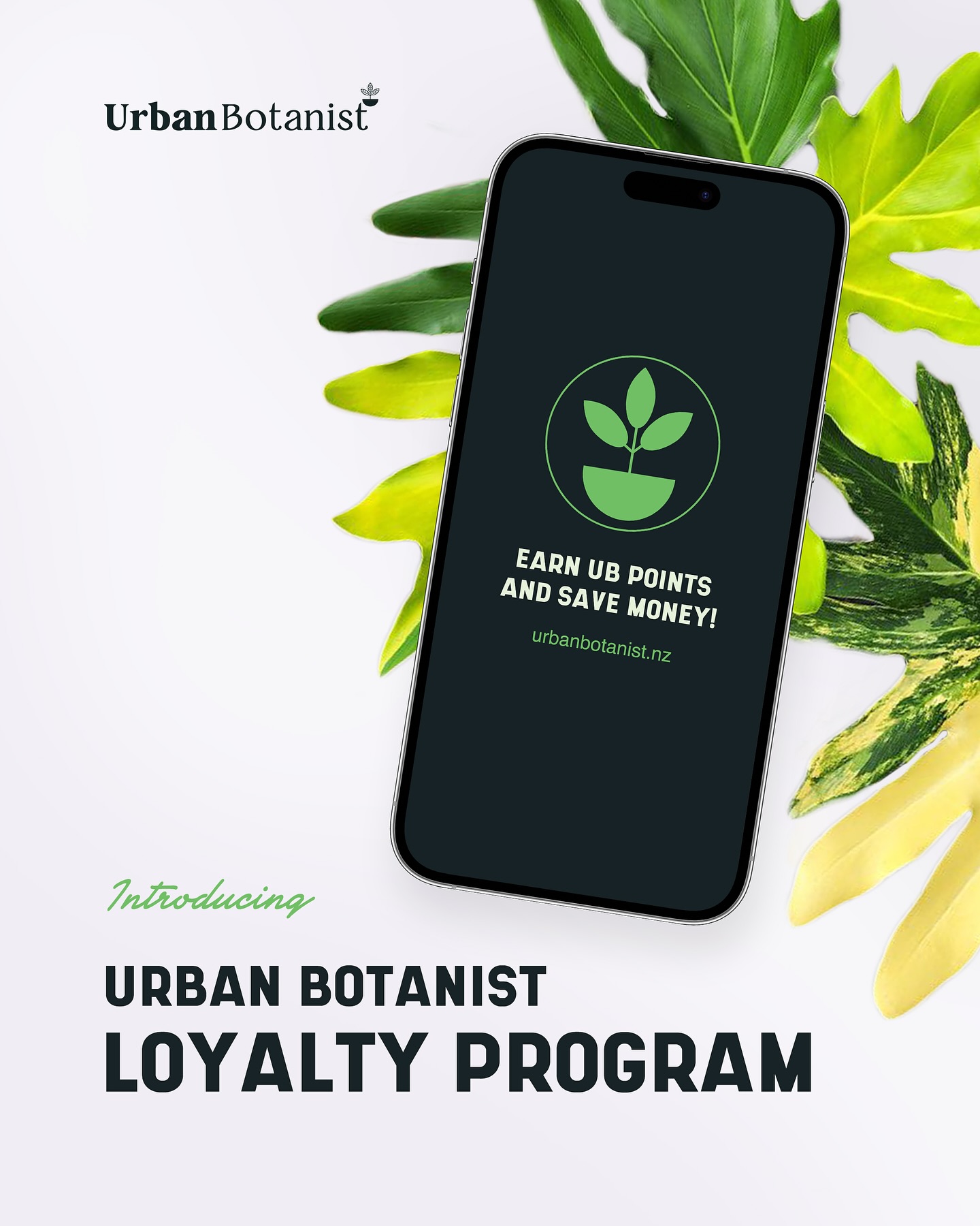 Introducing Urban Botanist Loyalty Program! Create a customer account on our new website to start earning reward points. $1 = 1 Point , 150 points = $10 credit.