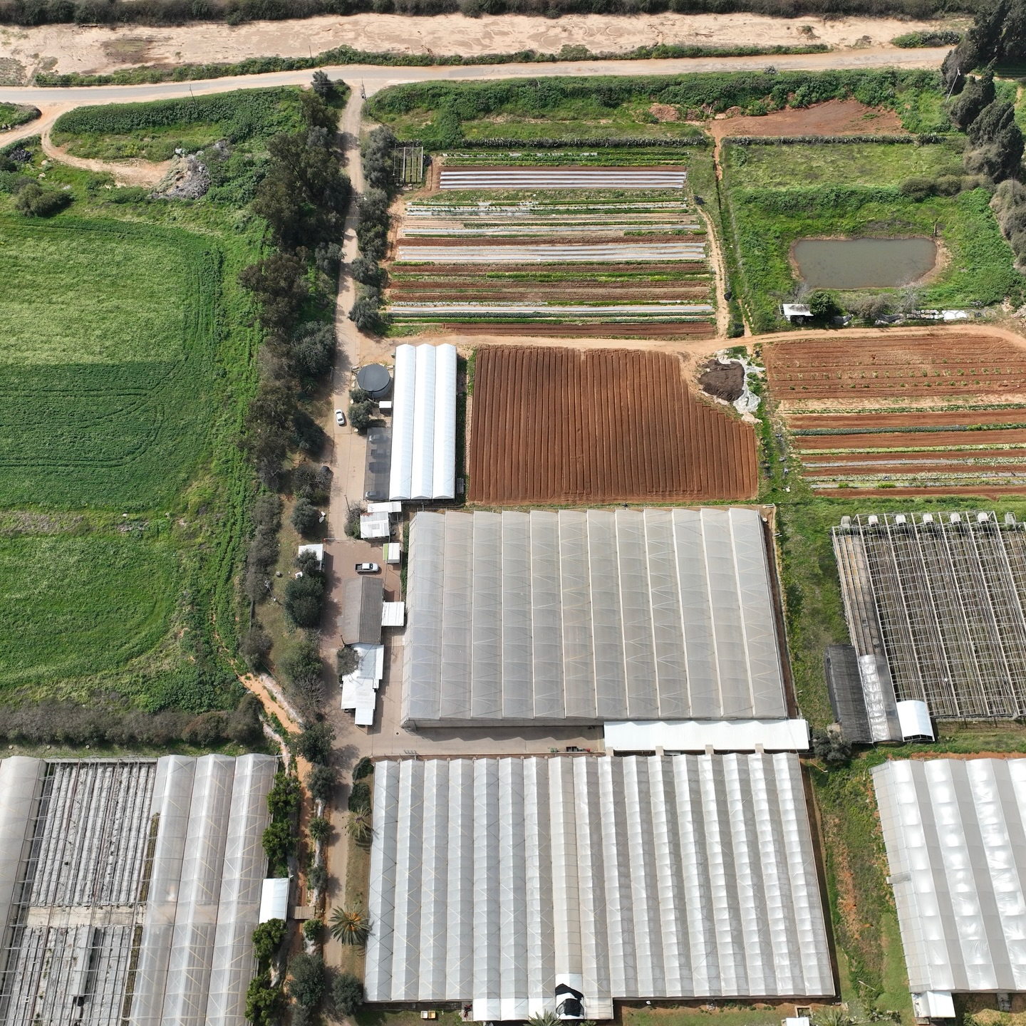 Our farm in israel #breiercross
#greenhouse