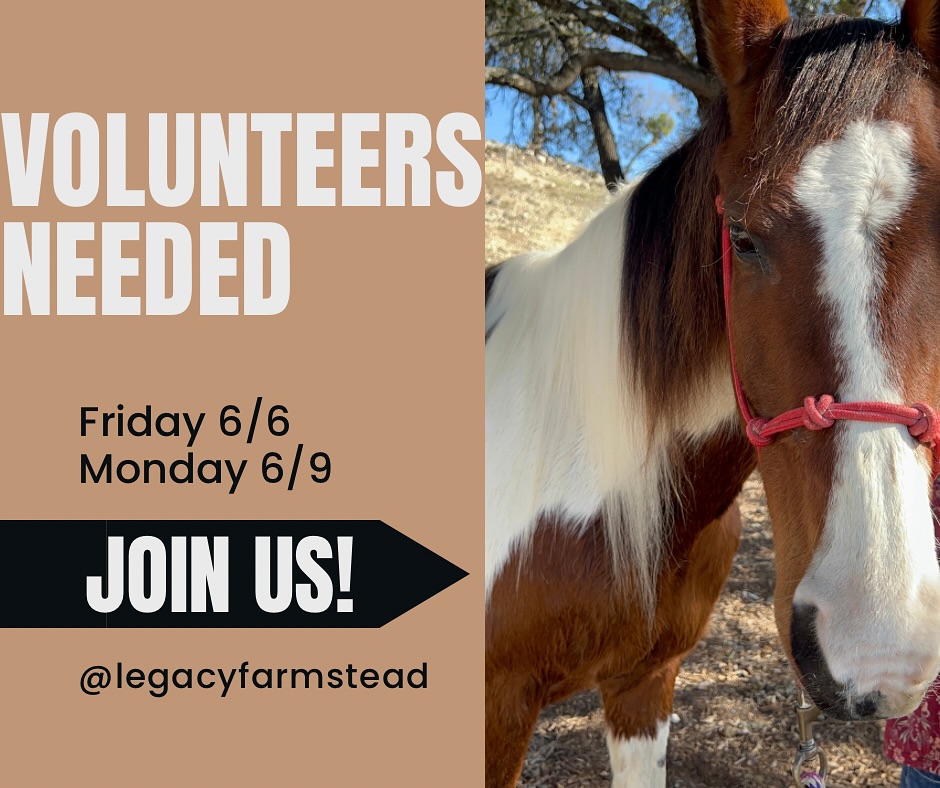 Last minute request!
If anyone is available to help clean 2 guest houses we sure would appreciate it! We have some coming in tomorrow late afternoon/evening and then some others on Monday! Anytime is great but preferably morning to make sure they’re ready! Thank yall!
Feel free to dm!