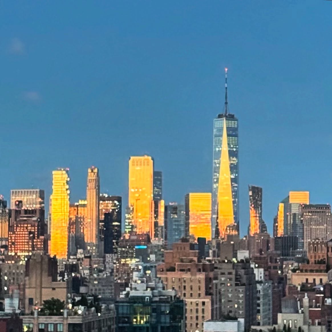 A new day is dawning. My husband and I have made a big, “empty-nest” decision to move away from Cape Cottage Garden to enjoy some new adventures and experiences. This is the view outside our NYC window. I won’t be gazing out on leafy trees, peonies and tulips anymore (which is a huge adjustment for a garden lover like me!) but the city and all it has to offer beckons. We’re looking at this time as an adult “Gap year+” to travel, dine and enjoy the city’s arts and culture scene without having to care for a big house and garden. We will go back to a house and garden one day when our urban adventures are wrapped up., I promise!
Last night was our last night at Cape Cottage Garden, which I cannot even believe! It’s been an absolute dream to be able to create such a beautiful garden and see it come to life. Thanks for all of your support along the way.
Onwards.
-Cape Cottage Garden, Zone 7a, New Jersey, USA