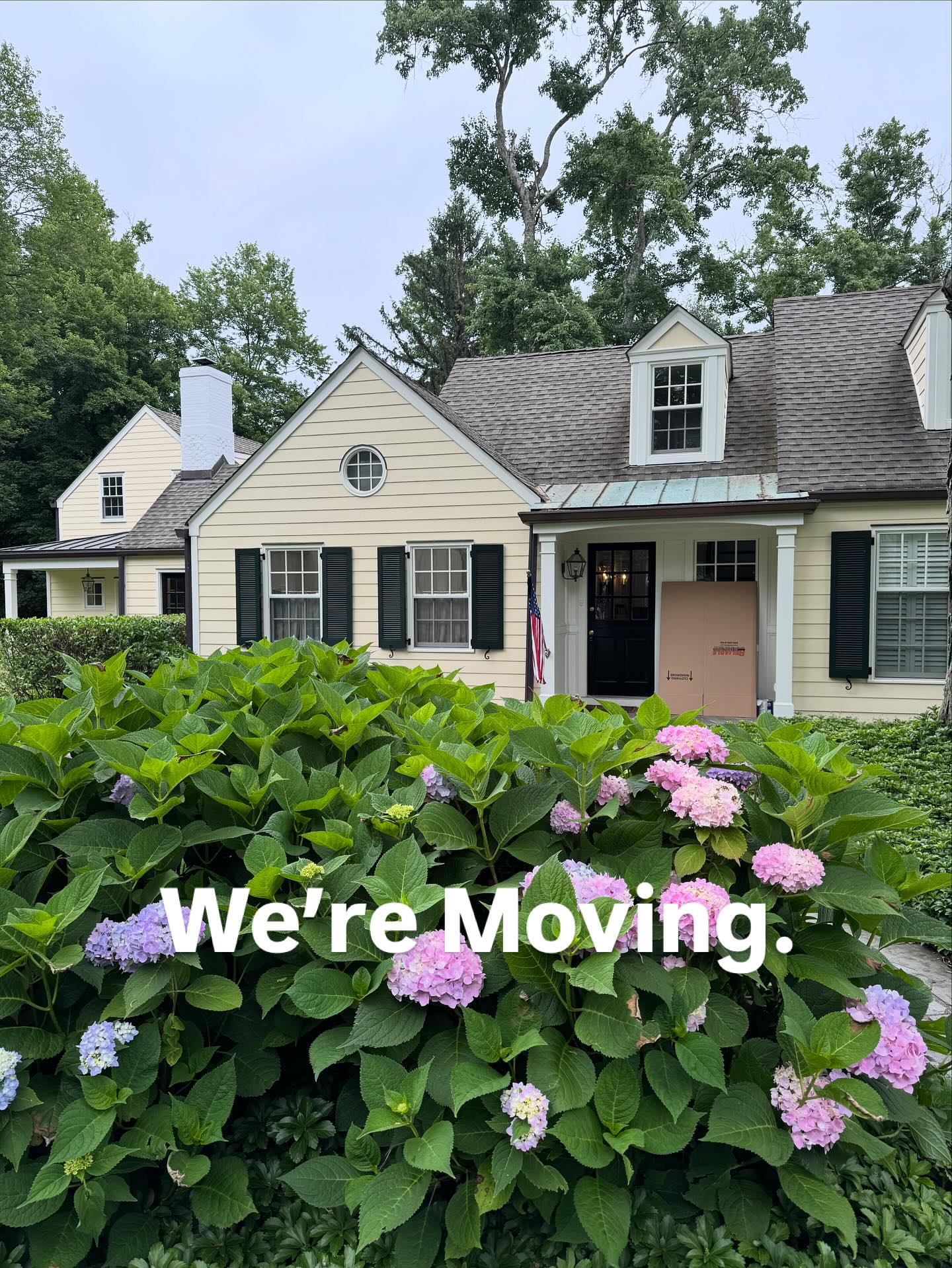 Moving boxes by the front door fronted by hydrangeas. Our life right now.!
-Cape Cottage Garden, Zone 7a, New Jersey, USA