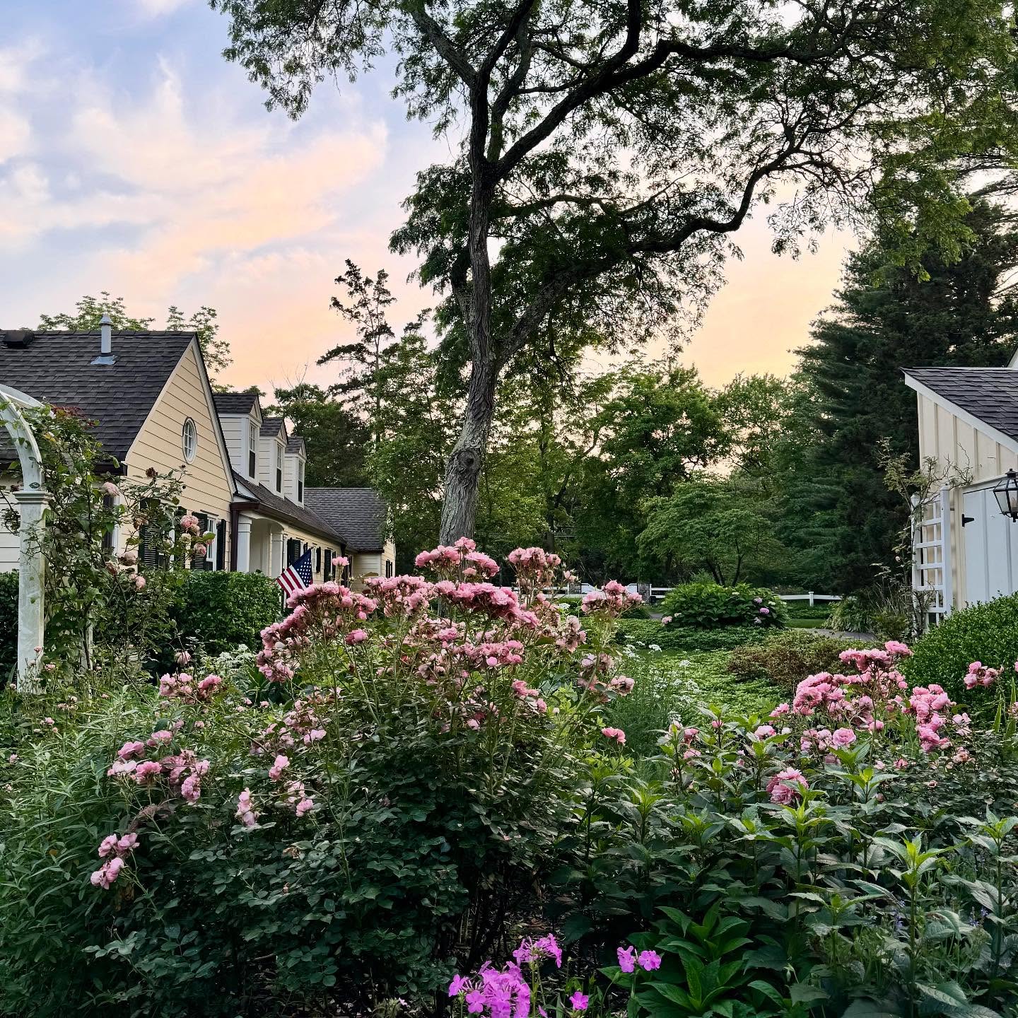 Evening light.
-Cape Cottage Garden, Zone 7a, New Jersey, USA.
#Finegardening,#perennialgardens #countrygardens #gardengatemagazine #thecottagejournal #unbelievablegardens #homeandgarden #thehappygardeninglife #gardendesign #romanticgardendreams #countrygarden #gardenplanning #gardengreatorsmall #betterhomesandgardens #thegardeningspirit #gardenanswer #njgardening #bhggarden#cottagegardens #flowerlovers #gardensofinstagram