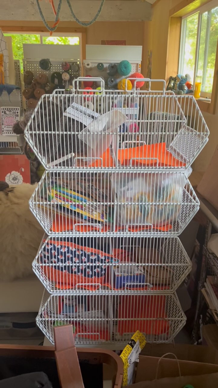 Thank you, I love it, I want one in every room and 2 in my studio.
(Wish it didn’t require the death of Joann Fabrics for me to have this in my life)