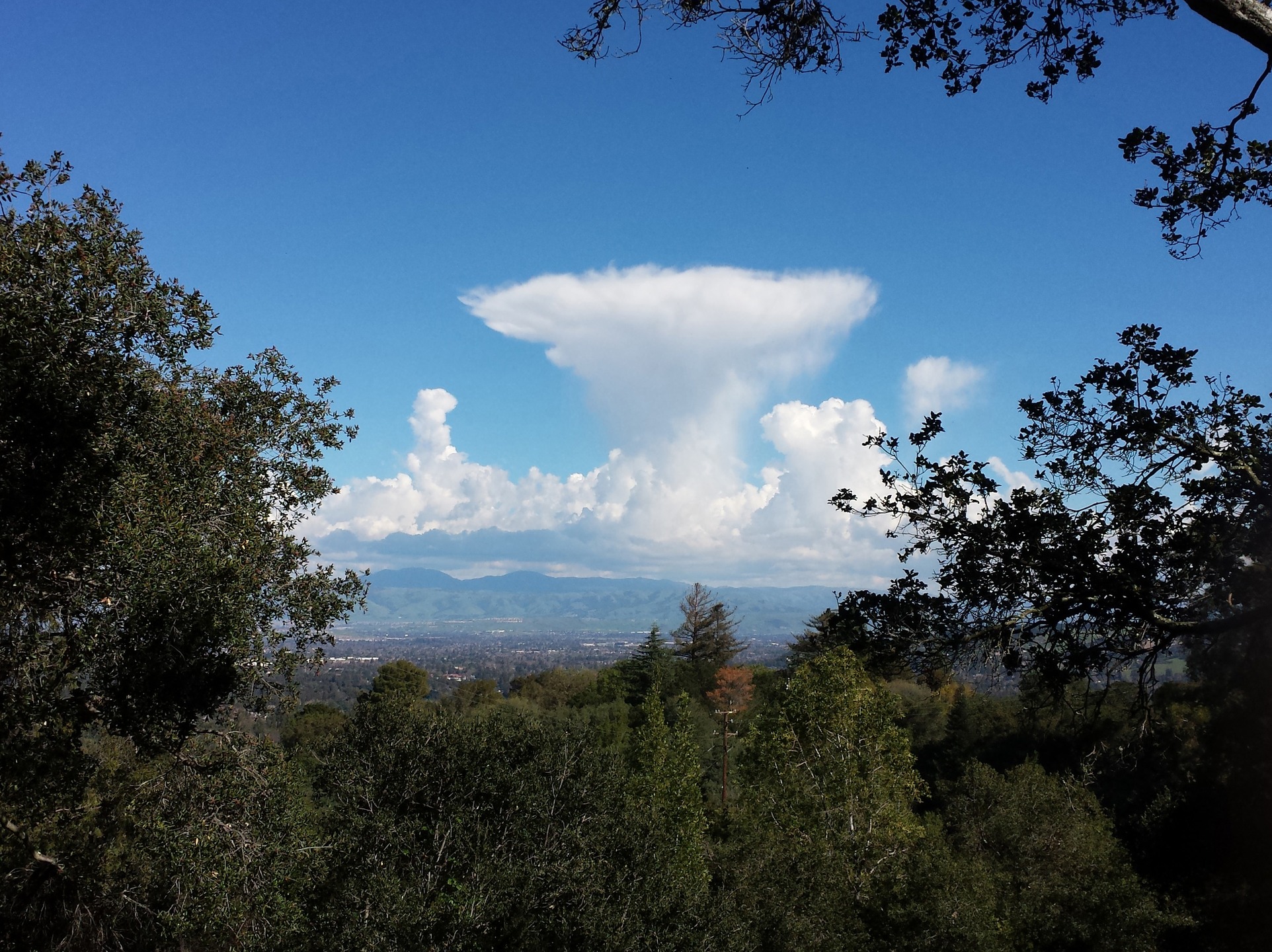 "Mushroom Cloud Over Silicon Valley" by Dan Turkus
I was out in the hills of Los Gatos looking for mushrooms and saw this mushroom cloud over the Silicon Valley. I took out my phone and took a picture of the only mushroom I found on that day, March 9, 2015.
Date: March 01, 2015
Camera: SAMSUNG SCH-I545
ISO Speed: 50
Exposure: 0.00 sec
Focal Length: 4 mm
Aperture: f/2.2
Flash Used: No
#mushroomphotography