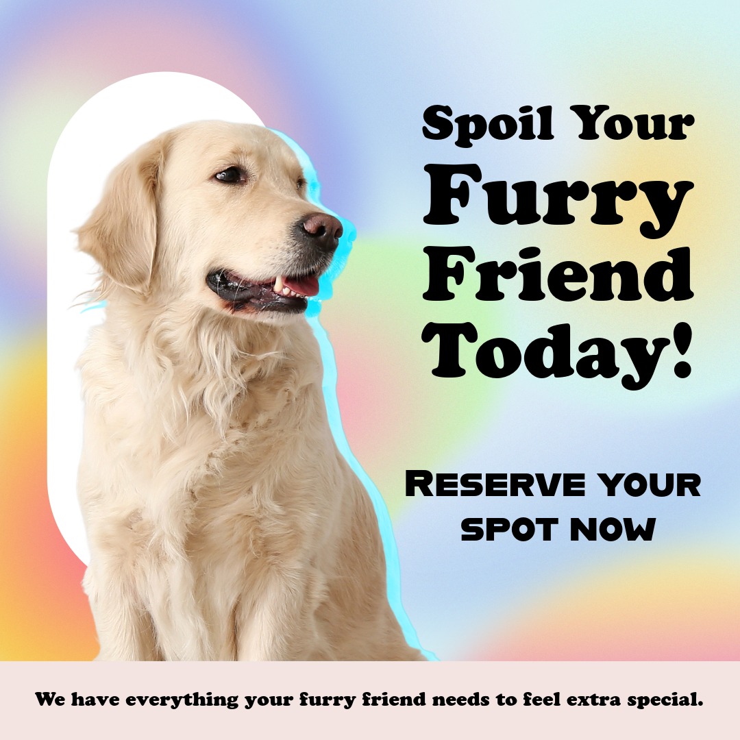 Because your pet deserves the best โ book your appointment now!
Phone: (818) 836-1449
www.fluffypawsgrooming.com
โข
โข
โข
SEE YOU SOON!
โข
โข
โข
#doggroominglife๐พโ๏ธ #petgrooming #GroomedWithLove 
#DogSpaDay #pamperedpups #freshandfluffy #CleanDogHappyDog, 
#mobilegrooming #groomingday