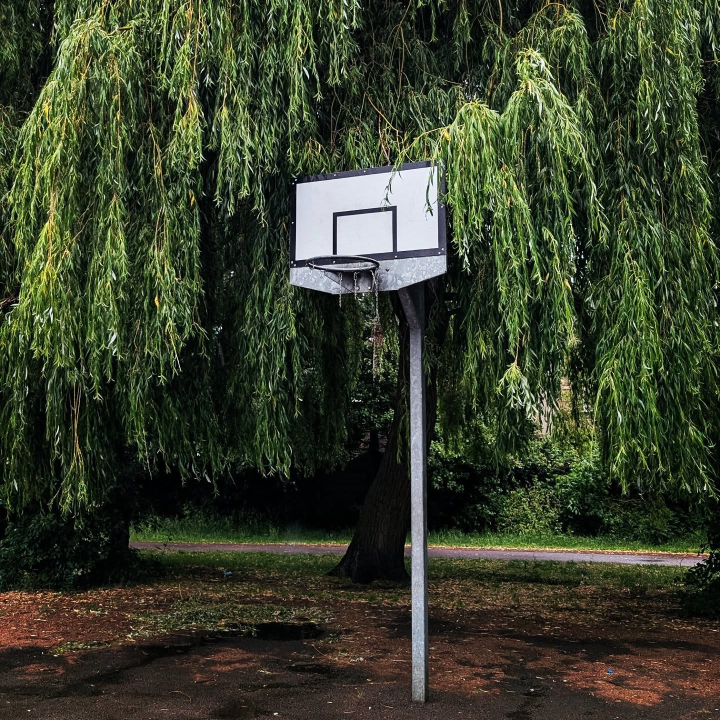 Growing up in Melbourne, basketball was a way of life for me. From the age of 8 through to my early 20s, you could always find me on a court - whether it was in my backyard, local school or park, or Diamond Valley Stadium. (For about $1 a pop at the time).
My whole family played. Even my dad was still out there in his 50s. It was strong in our family. 💪🏼
I played hard every time, once even taking 5 charges in a single game. My back, knees and ankles remind me about it daily. And I just need to keep working on my strength to try to get back on-court again. It's a slow and steady process, but I'll get there.
I’ve won premierships, represented my high school, made game-winning free throws and dropped 17 points in a game once (5 of those were threes—yes, I still remember 😅). I still remember it all. 🏀
But maybe what stuck with me most was the ritual - the feeling - of getting a new pair of sneakers each season. My mum would take me, and it always felt like a new beginning. I still try to pass that same feeling on to my boys today.
And every Saturday, walking into the stadium to play, I’d be checking out everyone’s sneakers.
I’ll never forget when my brother bought me my first Jordans - Playoff 13s. Pure magic. The comfort, the stitching, the hologram 🤤 I used to clean them after every single game 🫧🧴And I still have my Jordan 11 Breds from 2001. Some things you just hold onto.
Now living in London at 43, a world away from those courts in Melbourne, basketball and sneakers still give me so much joy. They were a big part of how I grew up, and I love it.