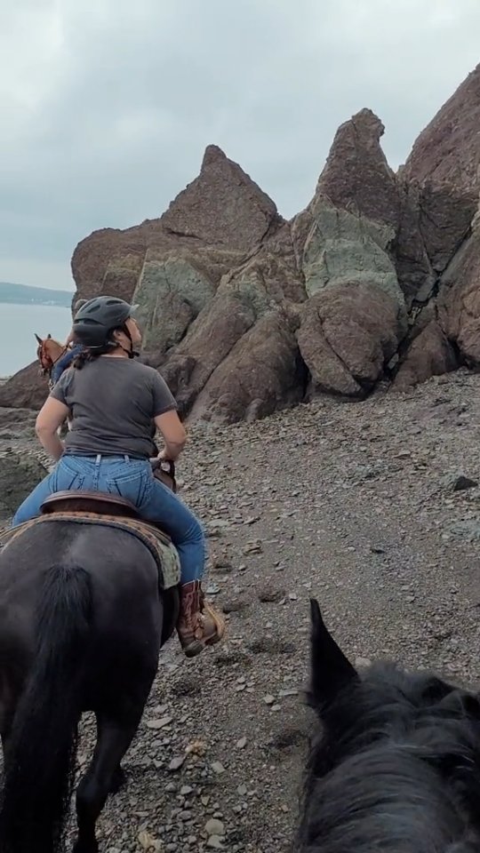 Fossil hunting on the back of a horse is the best! #bayoffundy #cliffsoffundygeopark #fundygeologicalmuseum #horsebackriding #fossilsonhorseback #spiritreinsranch #parrsboroshore #explorenovascotia #travel #adventure