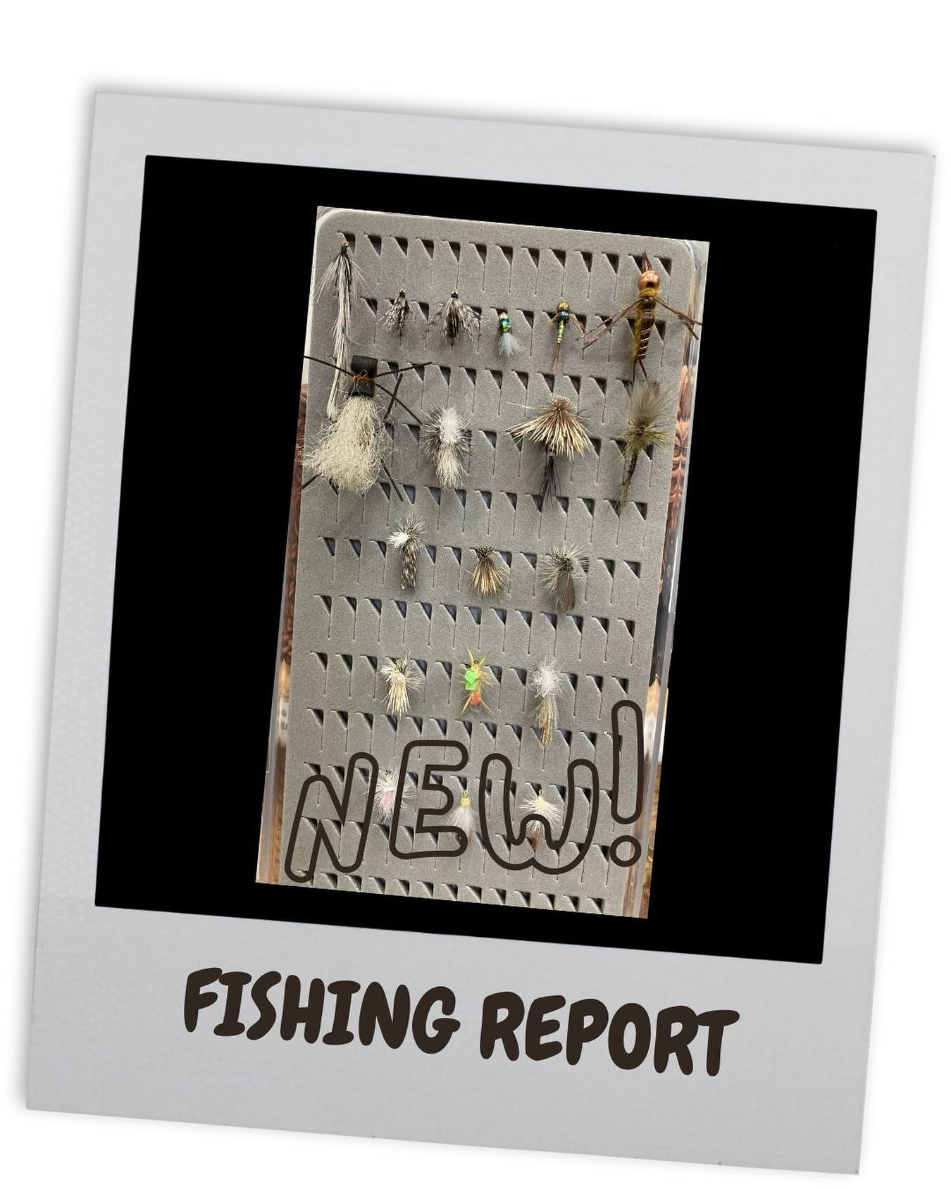 Howard Cole back again with this week’s blog post: It’s Still Run-Off… But There’s Good Fishing Out There #linkinbio
Stop by the shop and chat with the fishing staff about where they’re fishing while Jackson Hole’s moving waters are still high and off-color.
Open daily 10am-6pm
#jdhighcountryoutfitters #jacksonhole #visitjacksonhole #jacksonholeflyfishing