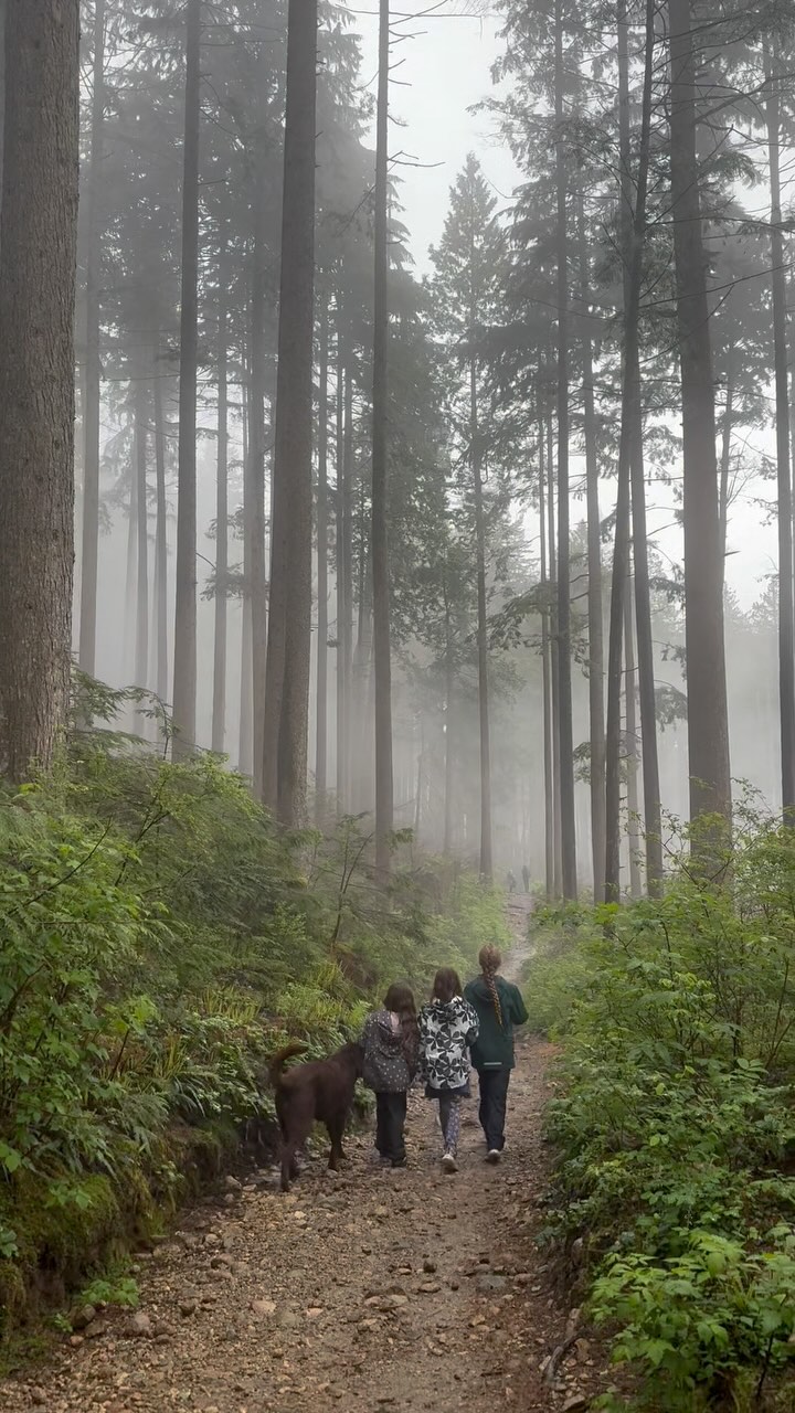 This is everything to me.
My why — Kylie, Hanna, and Addie. My girls 💗
They keep me rooted when life feels too fast,
reminding me to breathe, to notice, to see the world through their eyes.
Wandering through the forests and through our days, growing side by side 🌲
a little wild, a little messy,
but a lot of love and a lot of wonder.
✨
#MyWhy
#MotherhoodMagic
#RaisingWildHearts
#RootedInLove
#EarthMama
#MomLifeMoments
#NatureAndNurture
#SlowLivingMama
#WildAndWoven
#GrowingTogether
#ForestFamily
#MessyBeautifulLife
#IntentionalMotherhood
#LoveInTheLittleThings
#DaughtersOfTheEarth