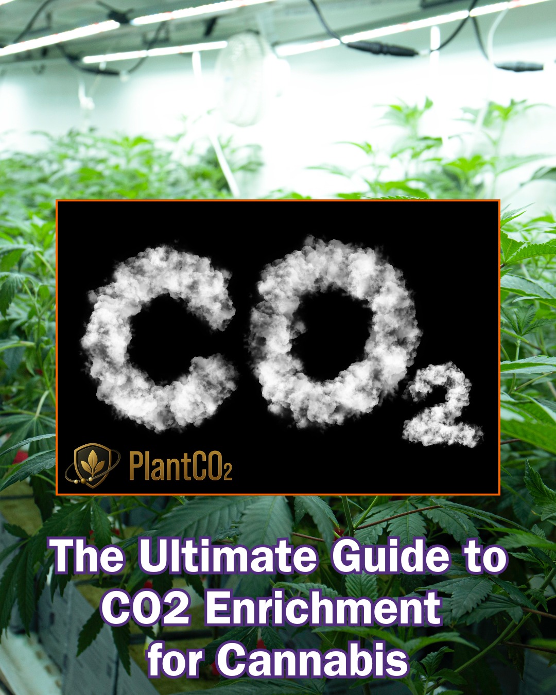 New from @plantco2manifolds
The Ultimate Guide to CO₂ Enrichment for Cannabis, Strawberries, and Leafy Greens is here!
Want to boost yields, accelerate growth, and enhance plant health?
CO₂ enrichment is your next big move.
💥 Cannabis: Up to 30% more flower + a shorter veg cycle
🍓 Strawberries: Bigger, sweeter berries + faster harvests
🥬 Leafy Greens: Better flavor, texture, and nutrition
This guide covers:
✅ Ideal CO₂ levels for each crop
✅ Automation tips for efficient delivery
✅ Best practices for airflow and bulk supply
✅ How to design your CO₂ system for max ROI
Whether you're running a cannabis facility or dialing in your greenhouse for food crops, this article is a must-read.
🔗 Link in bio to read the full guide
#cannabis #cannabiscultivators #growers #homegrowers #cultivators
#CannabisCultivation #CO2Enrichment #IndoorFarming #GreenhouseGrowers #StrawberryFarming #LeafyGreens #ControlledEnvironmentAg #GrowSmarter #PlantCO2