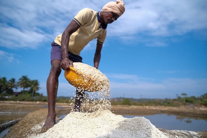 The Hands That Sustain. The Lives That Don’t.
A 3-part series by Rohan Fernandes (@rohanyuri)
These photographs of Goa’s Saltpan Workers were taken during peak afternoon light, when the heat rises off the beds and the salt begins to set.
Salt-making has been part of Goa’s heritage for centuries. But rising temperatures, erratic monsoons, and tidal flooding now make this fragile work even harder. Salt takes longer to form. Entire pans are sometimes lost in a single storm.
And yet, there they are, still chiseling white gold from cracked mud, steady hands against uncertain skies.
📸 Behind the scenes: “I lay flat in the mud to take this shot, using an ultra-wide lens and fast shutter to freeze the salt mid-air. Natural light gave the crystals their shine-foot to sky, grain to gesture.”
#theimpactsociety #saltpanworkers #traditionalprofessions #culture #coastalheritage #climatechange #conservation #documentaryphotography #Goa