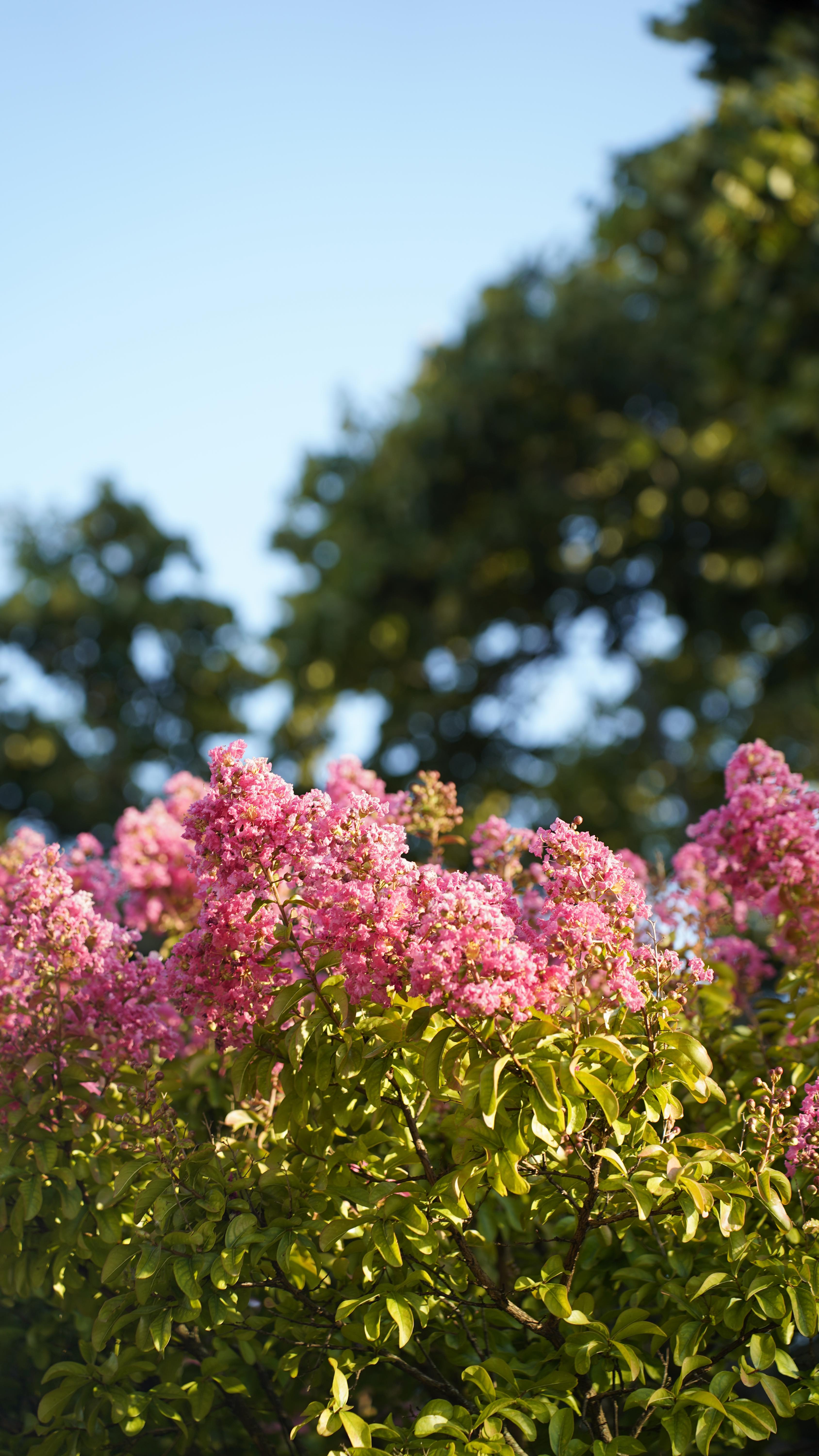 Apunta este alojamiento para descubrir Navarra
El jardín de Muruzabal ✨
Ubicado en la zona media, con capacidad para 23 personas, 4000 m2 de jardín, pista de tenis, piscina, barbacoa y mucho más…
¡A que estás esperando!
#navarra #turismo #rural #casarural #amigos #verano