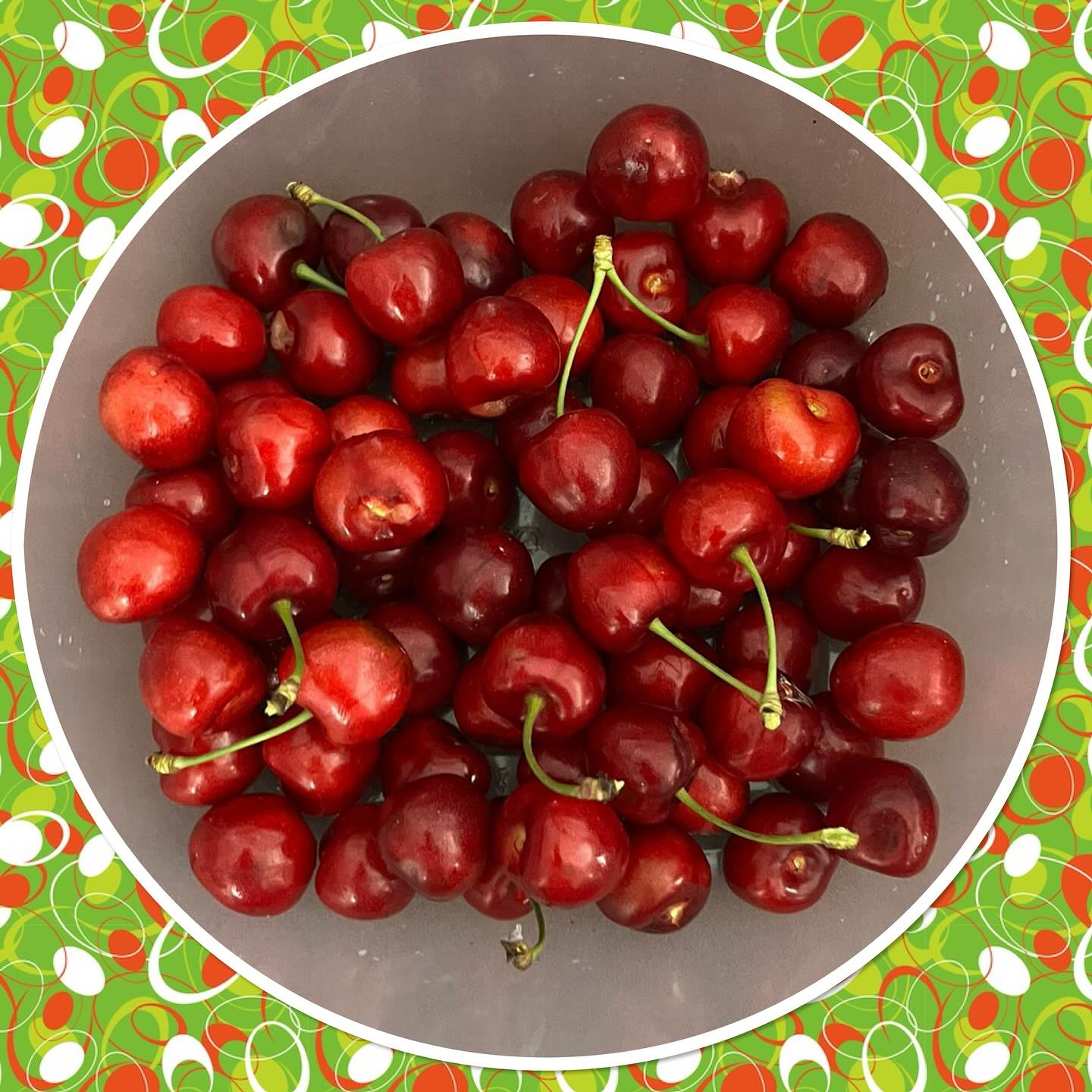Our first crop of cherries 🍒 there’s plenty more too - any healthy recipe ideas out there folks?? 🍒🍒🍒🍒🍒#westbridgford #independent #nursery #est1988 #thewhitehousedaynursery #underfundedchildcare #earlyyearseducation  #openendedplay #early years #play #curiosity #letthemplay #outdoors  #ndna #learningthroughplay #milliesmark #birthtofivematters #earlyyearsoutdoors #milliesmark  #2025 #june  #keepingchildrensafe 
#aweandwonder #summer #cherries #homegrown #healthyrecipe