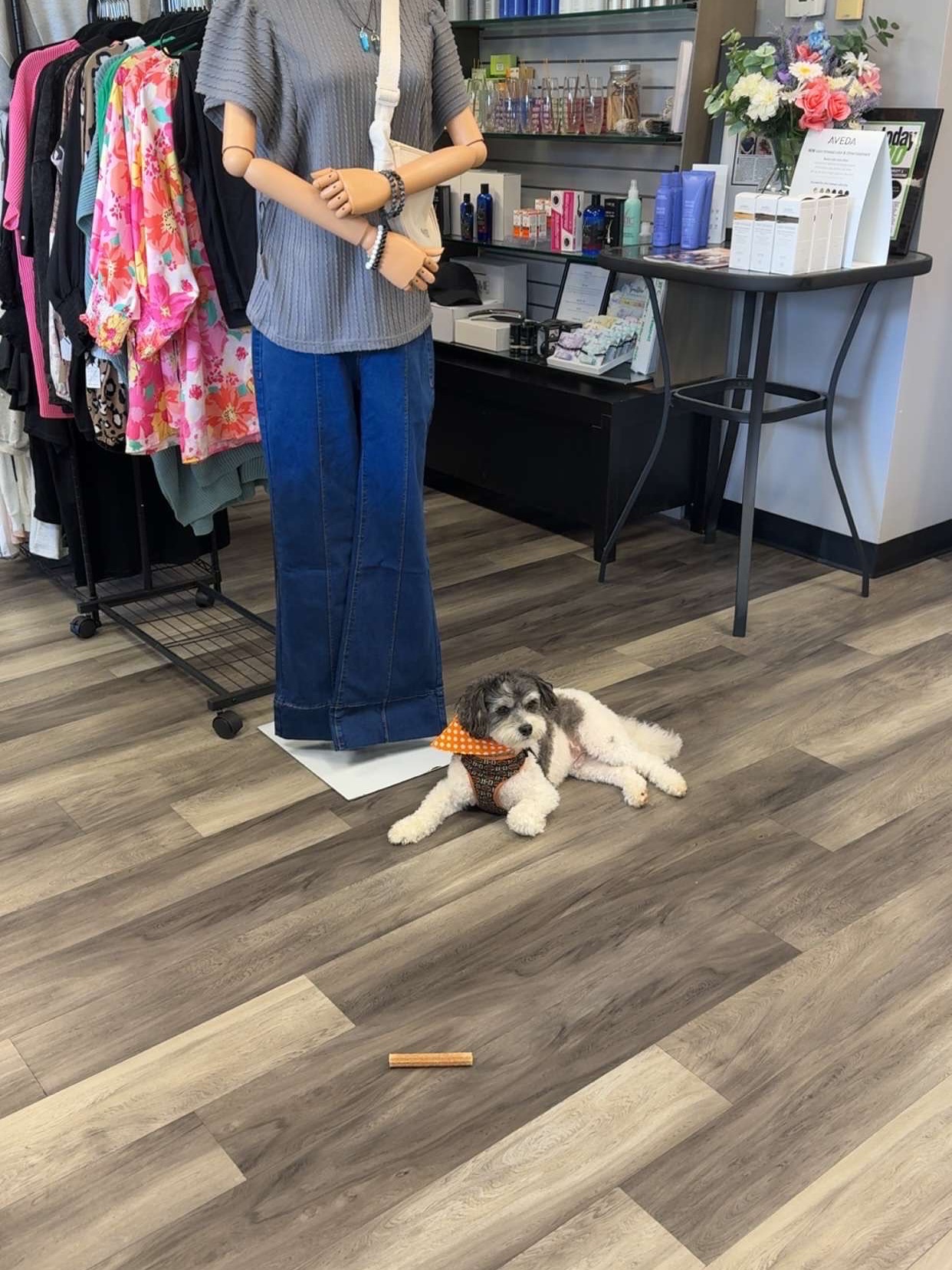 Just chillin at the moment.