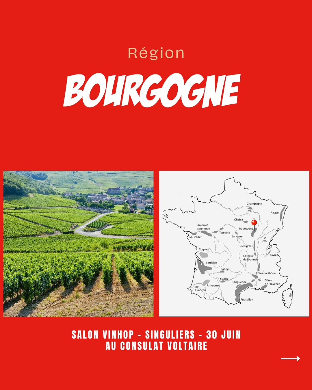 À la rencontre des vignerons de Bourgogne.
#confuron-cotetidot
@domaineservin
@domaine.des.malandes.chablis
@jeandauvissat
@antoinepetitprez
@domaine_monthelie_douhairet
@domaine.de.mandelot
@chateauderougeon
@maison.nicolasmorin
@domainealbertmorot
@domaine_trapet
#sylvainpataille
@vinsrijckaert
@domainerobertdenogent
@pierre_sarrazin
@domainetripoz
@francoisdegivry
@domaine_de_courcel
Venez les découvrir lors de notre salon SINGULIERS, où plus de 80 vignerons seront présents.
📍Le Consulat Paris 11ème
📆 30 juin 2025
‼️Réservé aux professionnels - lien d’inscription en bio