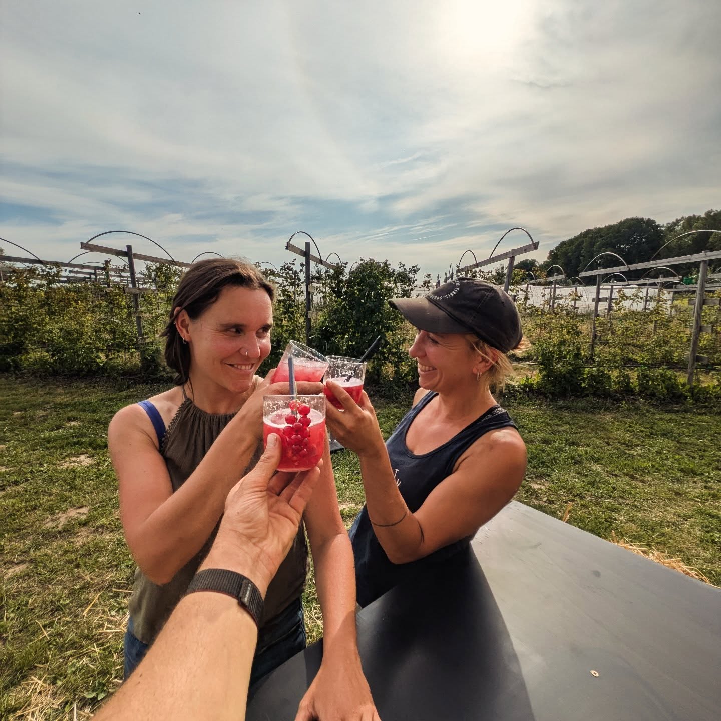 Frambozen Fizz πΉ
Eentje om te testen, of twee. π
Onze veldbar staat terug op voor een zonnig weekend samen met jullie. βοΈ Taart van @eline.weideweelde, kaas van @hethinkelspel, droge wosten @deboomslagerij en dips van @degoedezaak_seitan
Vier samen met ons de langste dag van 't jaar.
En met heerlijke kouter cocktails π₯
Zelfpluk: frambozen, aalbessen, kruisbessen, cassis en taybes.
veldbar: fruitijsjes & limo's
Spring eens binnen, tis hier goed βπ»
De boeren van de Daalkouter π€Έπ»
