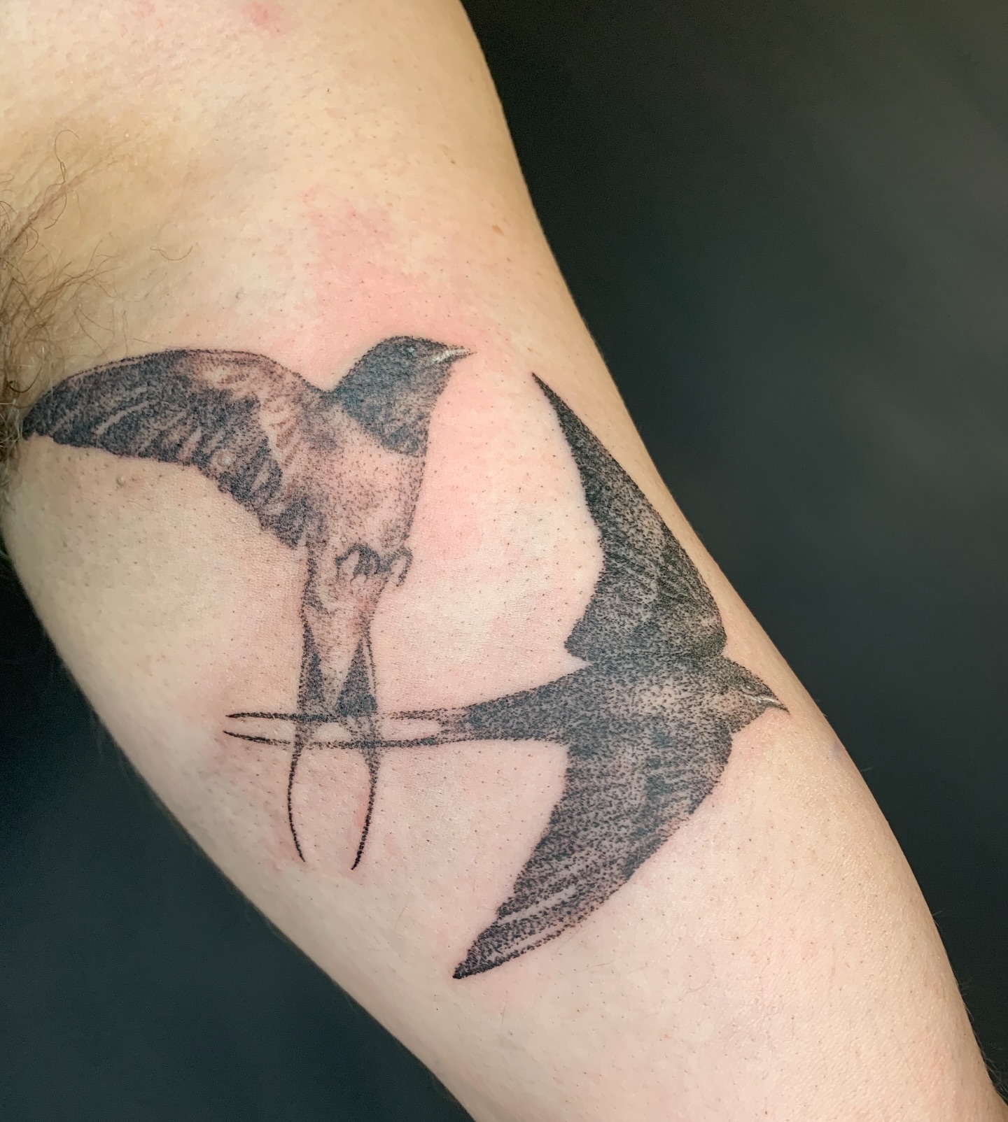 All about the dots. I had the pleasure of tattooing these Swallows recently. If you’d like something similar please do get in touch HannyaJayne@gmail.com 💜 #dotworktattoo #swallowtattoo #sentimentaltattoo #bristoltattoo #wildlifetattoo #naturetattoo