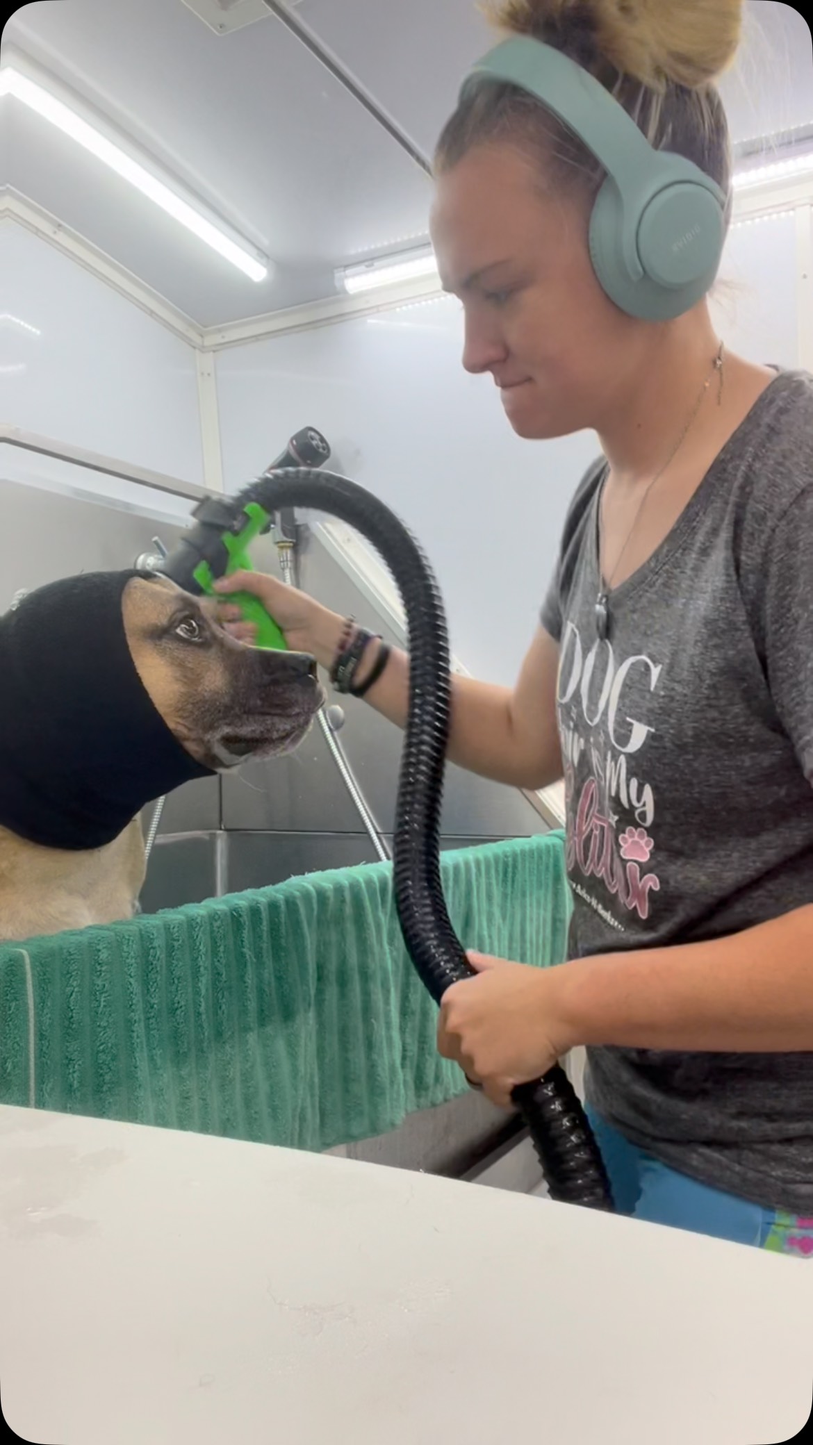 Few more days of work this week using my favorite tools of the trade! #trachsaver by @all4groomers and #handleit by @thehandleitcompany ! This weekend I’ll be heading to DC not for dog events for once but to support my husband and his band @slidewaysnj at #warpedtour. It’s a big accomplishment for them and I’m so excited to be there cheering them on. If you’re at warped tour in DC this weekend check them out and stop by the merch table!! #DawnOfDeShed #dogs #mobilegrooming #petgrooming #trachsaver #allforgroomers #handleit #warpedtourdc2025 #slidewaysnj