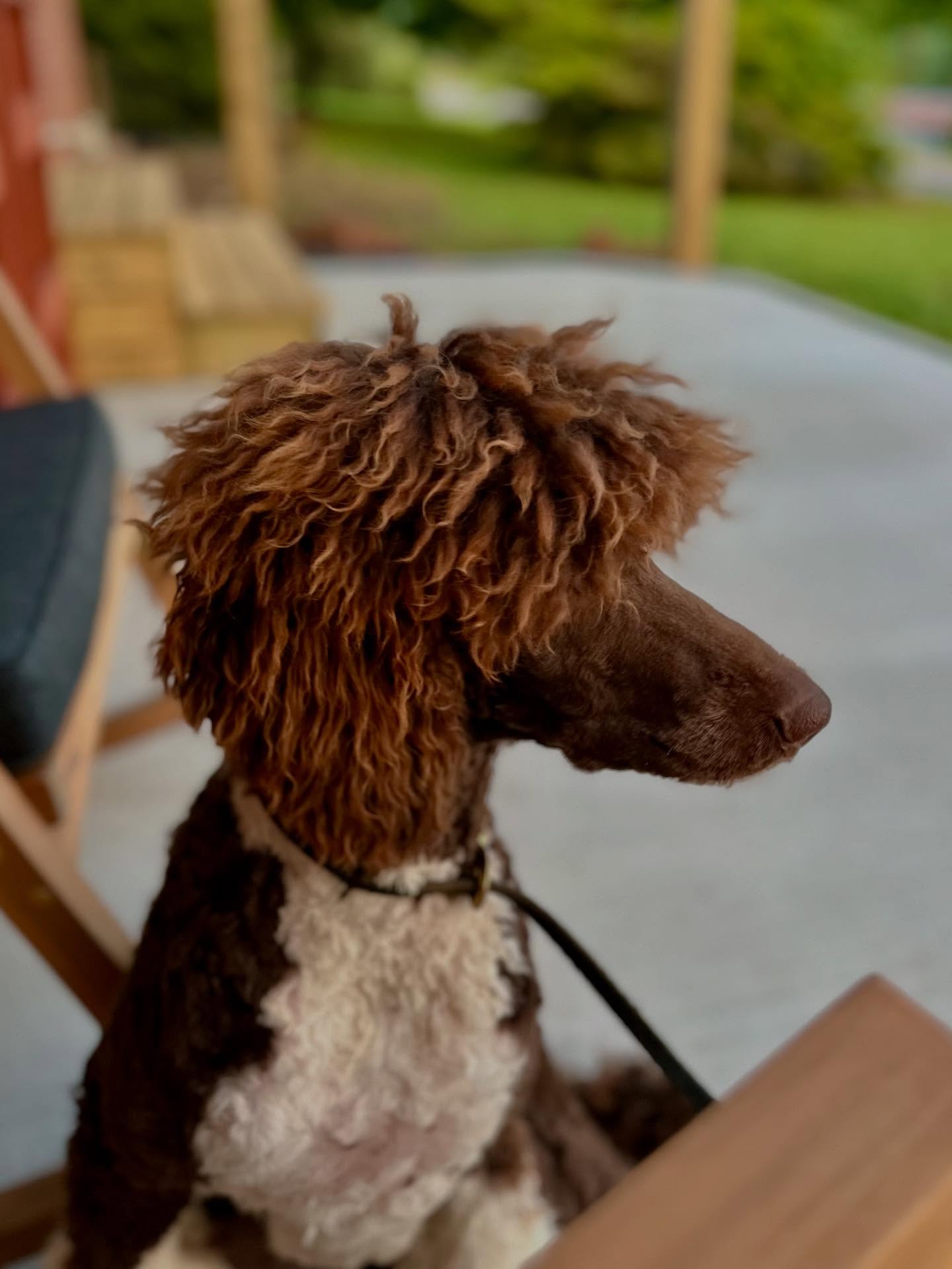 My Pretty Peggy-O❤️