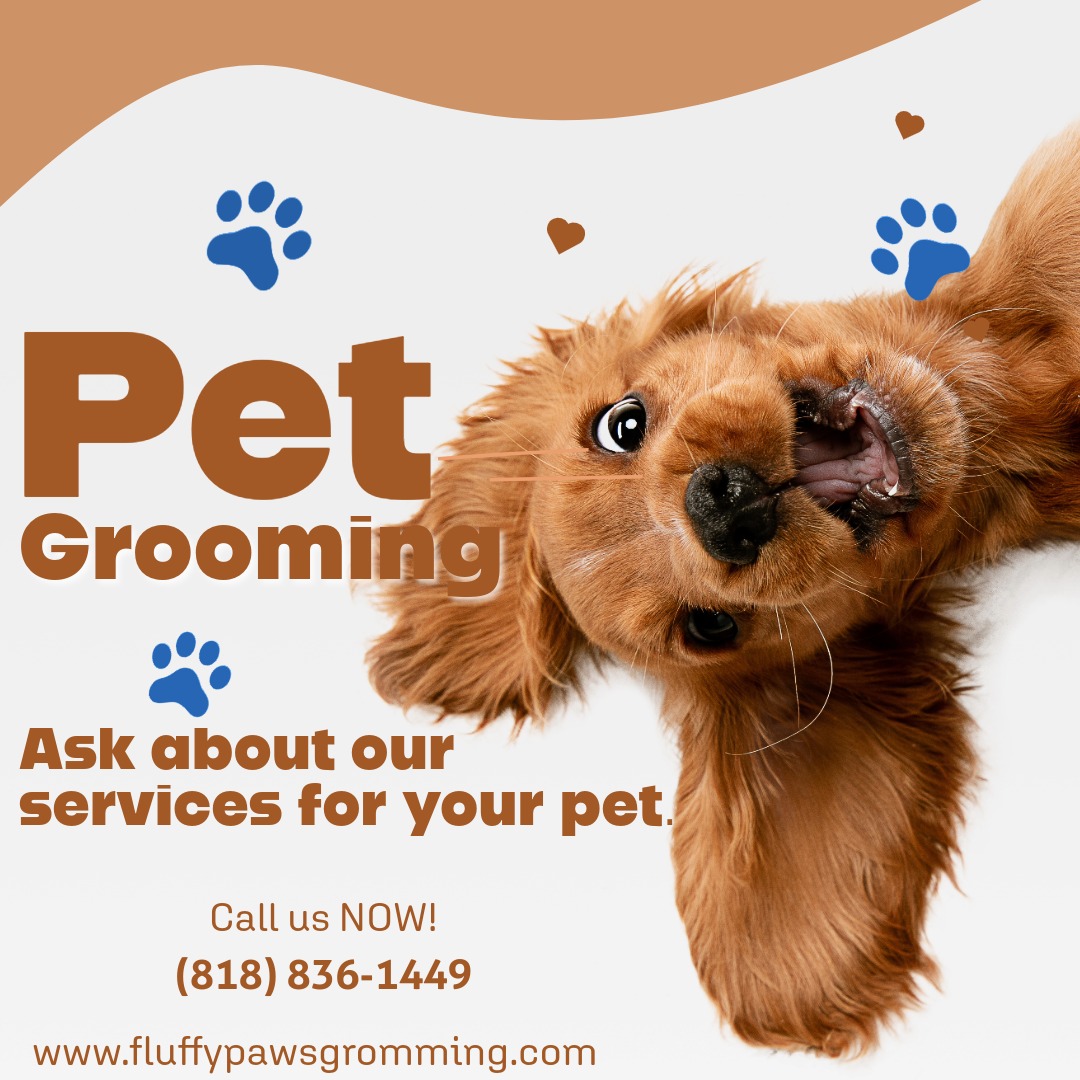 Treat your pet to an exceptional grooming experience...
*
*
*
Call us now!
*
*
*
(818) 836-1449
#FluffyPawsGrooming #PetCare #HomeService #PetPampering #lovedogs #lovepets #lovecats #losangeles #mobilegroominglosangeles #doggrooming #mobilegrooming #catgrooming #ConvenienceAtYourDoorstep ๐พ