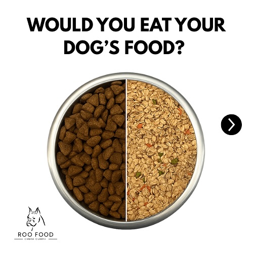 Would you eat your dog’s food?
Most of us never even stop to ask. But maybe we should.
Here’s what goes into Roo Food:
✔️ Oats
✔️ Rye
✔️ Barley
✔️ Kale
✔️ Carrots
✔️ Peas
✔️ No fillers, no fluff—just real, whole ingredients you recognize.
Because if you wouldn’t eat it… why should they?
Drop a comment: Would you eat your dog’s food?
Blog drops tomorrow. Don’t miss it.
#RooFood #WouldYouEatYourDogsFood #DogNutritionMatters #RealFoodForDogs #HealthyDogsHappyHumans