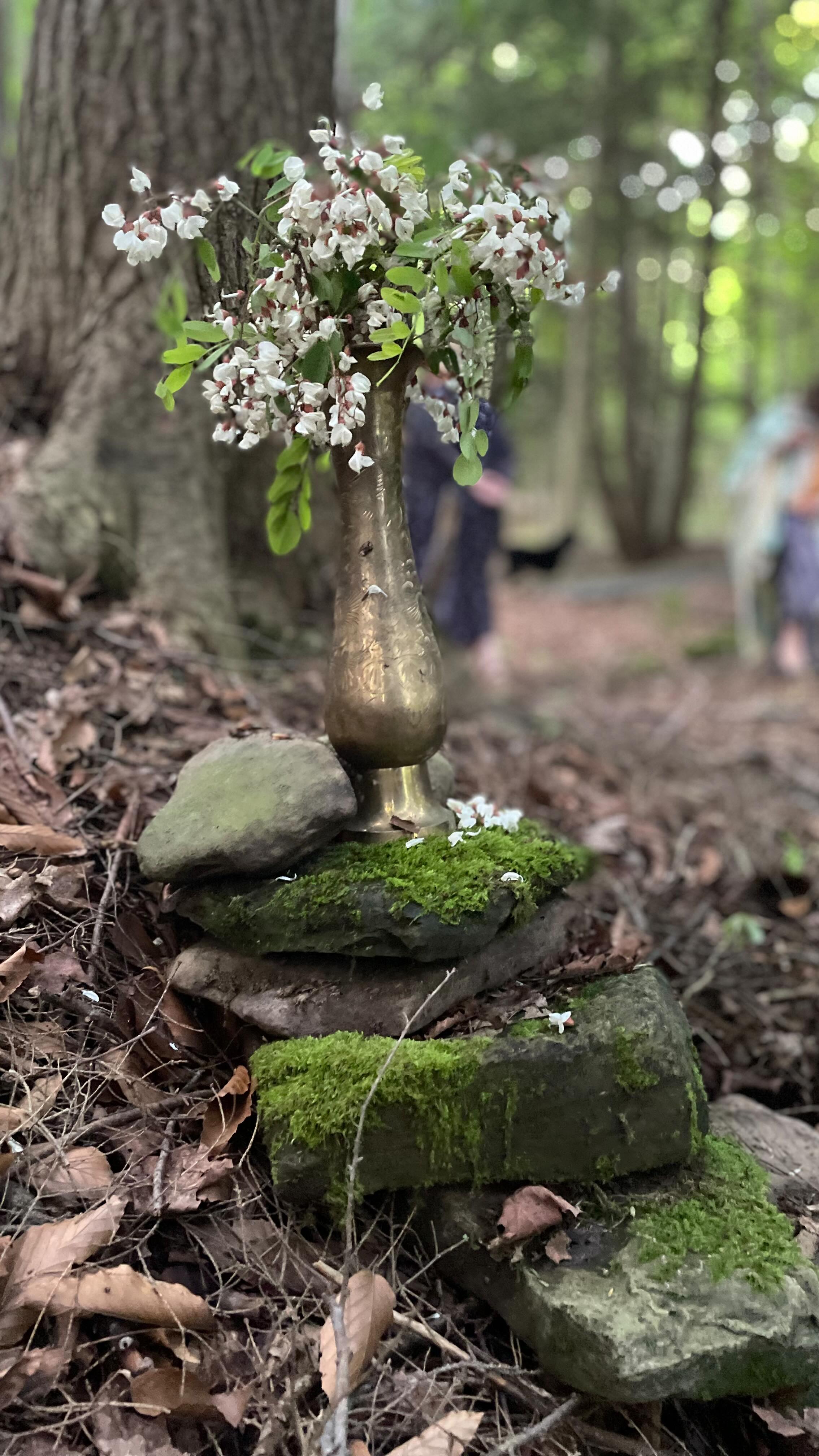 A day in a glance at yesterdays Full Moon Wombyn Circle ๐ฟโจ
Thank you @highlandspringsfloral for inviting us again and sharing her magical floral farm with all of us! ๐ฆ
Thank you, thank you, thank you to all who came and showed up for themselves!
We see you, we love you!