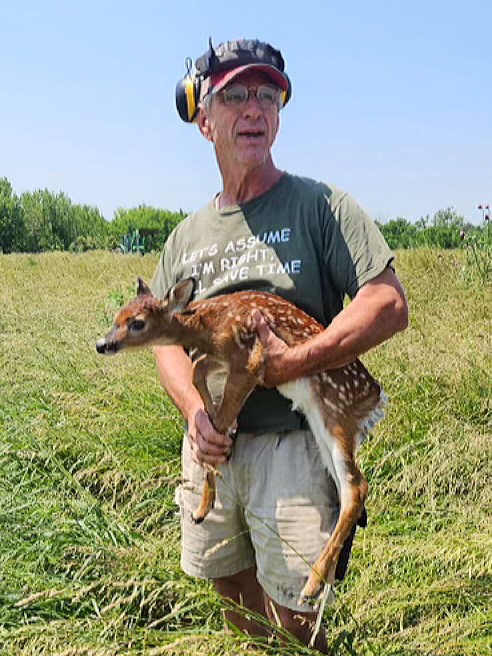 Look who Jay and the egg team rescued today! 🤩 Jay nearly ran over this baby mowing the hayfield, but it jumped up just in time so that Jay saw whereabouts it ran, and gathered a search party who found the little fella! His mother had run in the opposite direction, but suspecting she was probably nearby, Jay and company kept her baby out of harm’s way while Jay finished mowing, then released him again to his patient mother who’d returned. 🥰 We love critters and a happy ending!