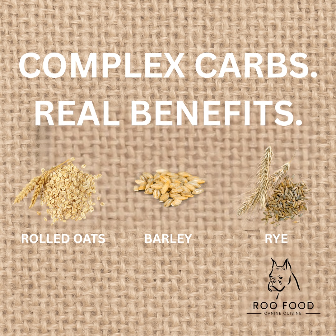 Carbs get a bad rep. But not all carbs are created equal.
At Roo Food, we choose complex carbs like rolled oats, barley, and rye—not fillers. These grains offer steady energy, gentle digestion, and support for your dog’s overall wellness.
Because real nutrition isn’t about trends—it’s about what works.
🦴 What’s in your dog’s bowl?
#RealFoodForDogs #RooFood #DogNutrition #ComplexCarbs #HealthyDogDiet