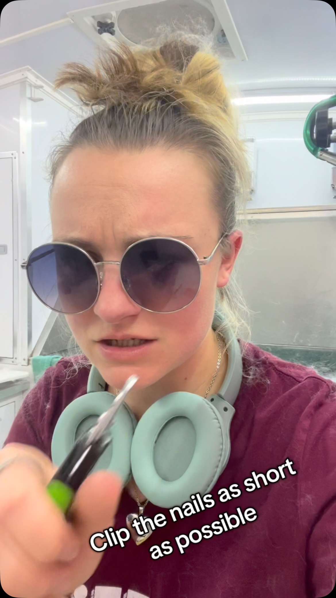 It’s that time of year again. Prepare the troops for shedding season! If you know you know #dawnofdeshed #mobilegrooming #oneonone #preparethetroops #staffmotivation #trachsaver #handleit #allforgroomers #epicthemusical #troy #dogs #petgrooming #iykyk