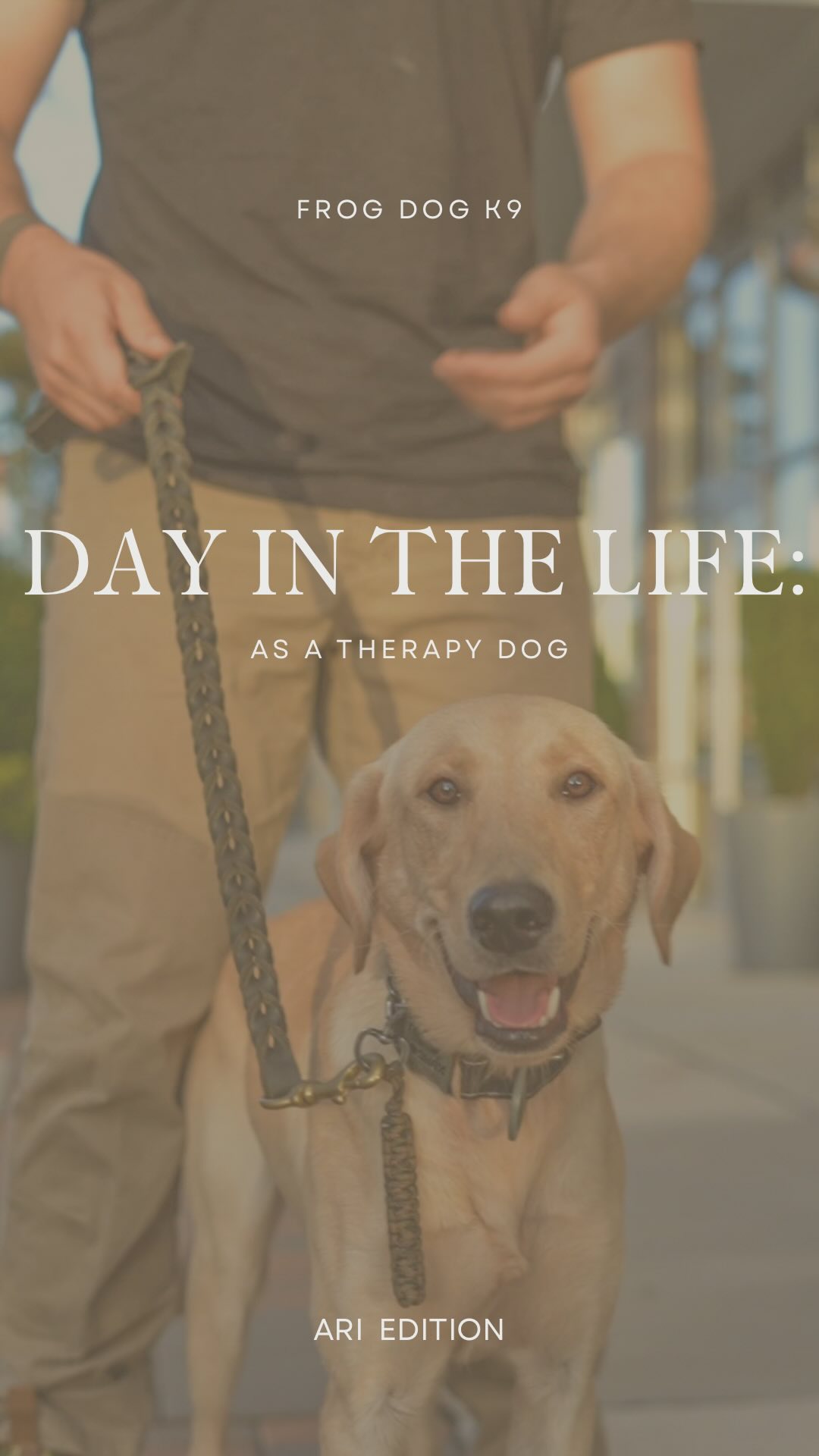 A day in the life of a Frog Dog K9 Therapy Dog 🐾
From comforting duties to pond dives and playtime with Sensei Ronin—every moment is a part of the mission. 💚
#TherapyDogLife #FrogDog #K9Care #ServiceAnimal #WoundedWarrior #NonProfit #Charity #Veterans #AnimalLove #Therapy #TherapyCompound #K9training #TherapyAnimal #TrainingCompound #Lodge #Retreat #Healing #SuicideAwareness
