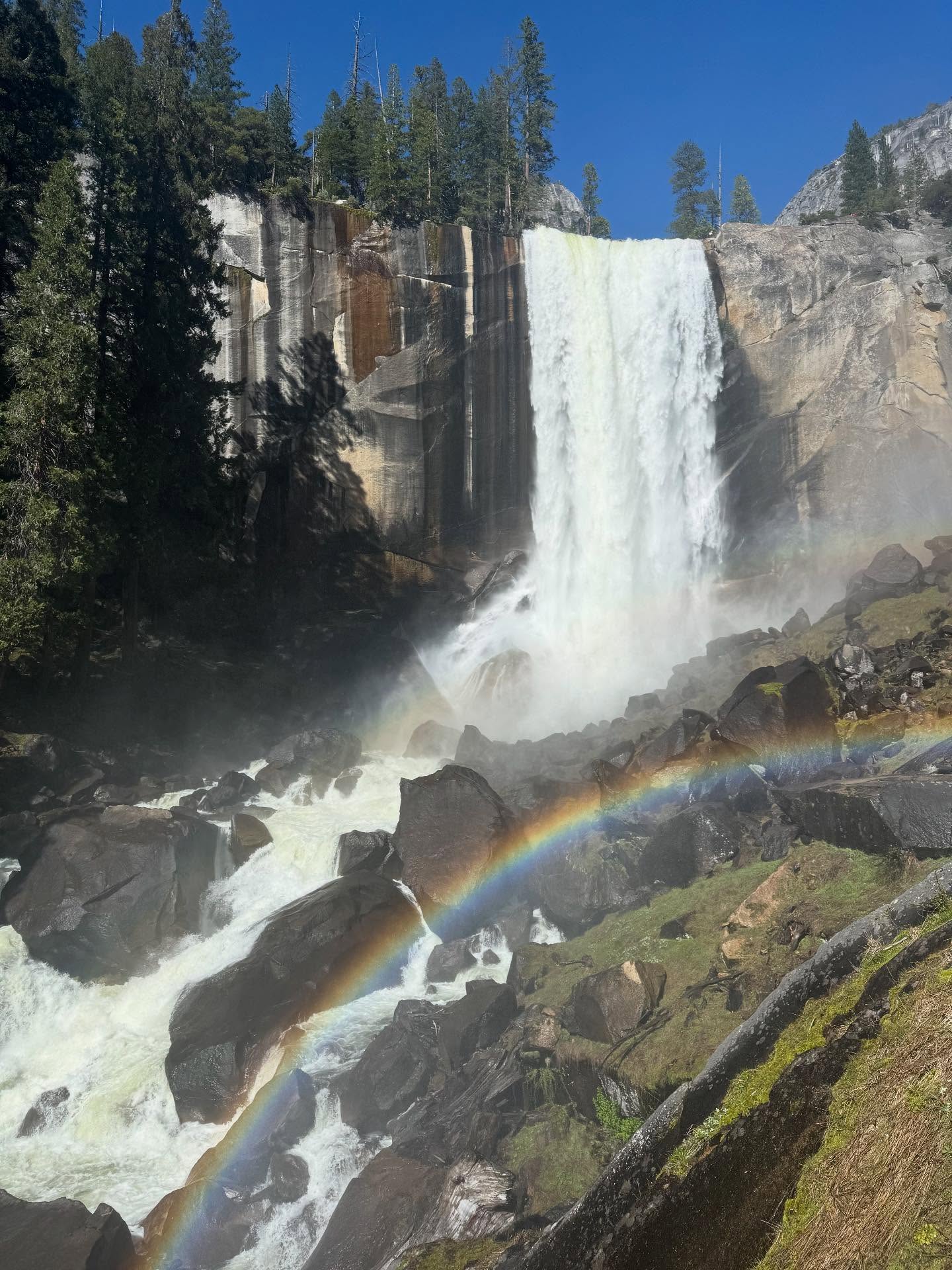 With love in my heart and flowers in my hair, I kiss California goodbye