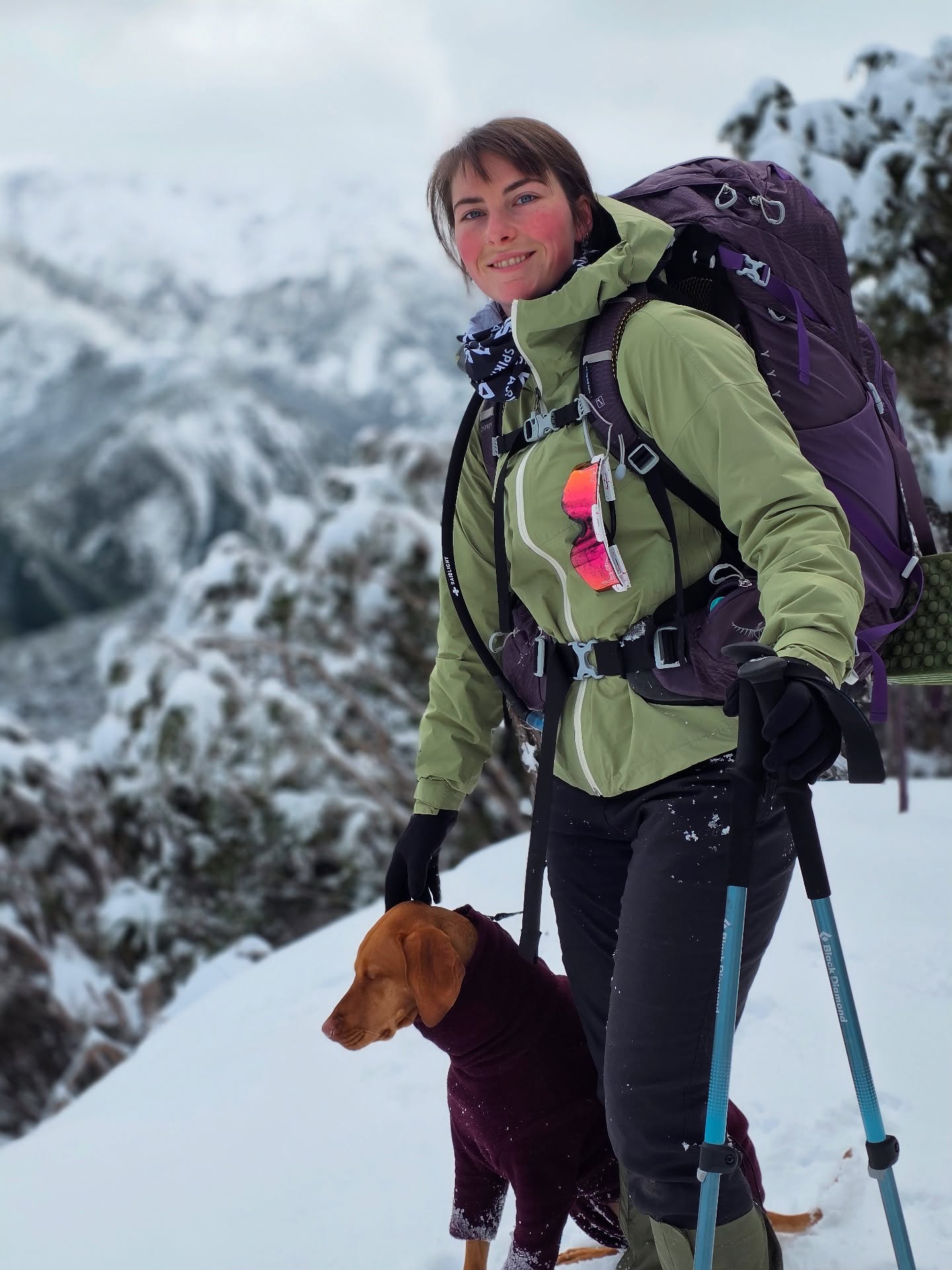 🐾❄️ Snow Hikes with Your Pup? Read This First! ❄️🐾
Winter trails = pure magic, but your dog needs the right gear to stay safe + cozy!
✅ Jacket: Insulated, waterproof & snug
✅ Fleece layer: Warm without bulk
✅ Booties: Protect paws from ice & salt
✅ Harness: More control on slippery trails
✅ Collapsible bowl: Hydration is key!
🎒 Choose dog-friendly trails
🛑 Take breaks + watch for cold signs (shivering, paw lifting, whining)
🐕 Let them explore, stay safe, and enjoy the snow together!
Read the full blog on our website !!! Link in bio
📸 Tag us in your winter adventures! #SnowDogReady #TrailTails